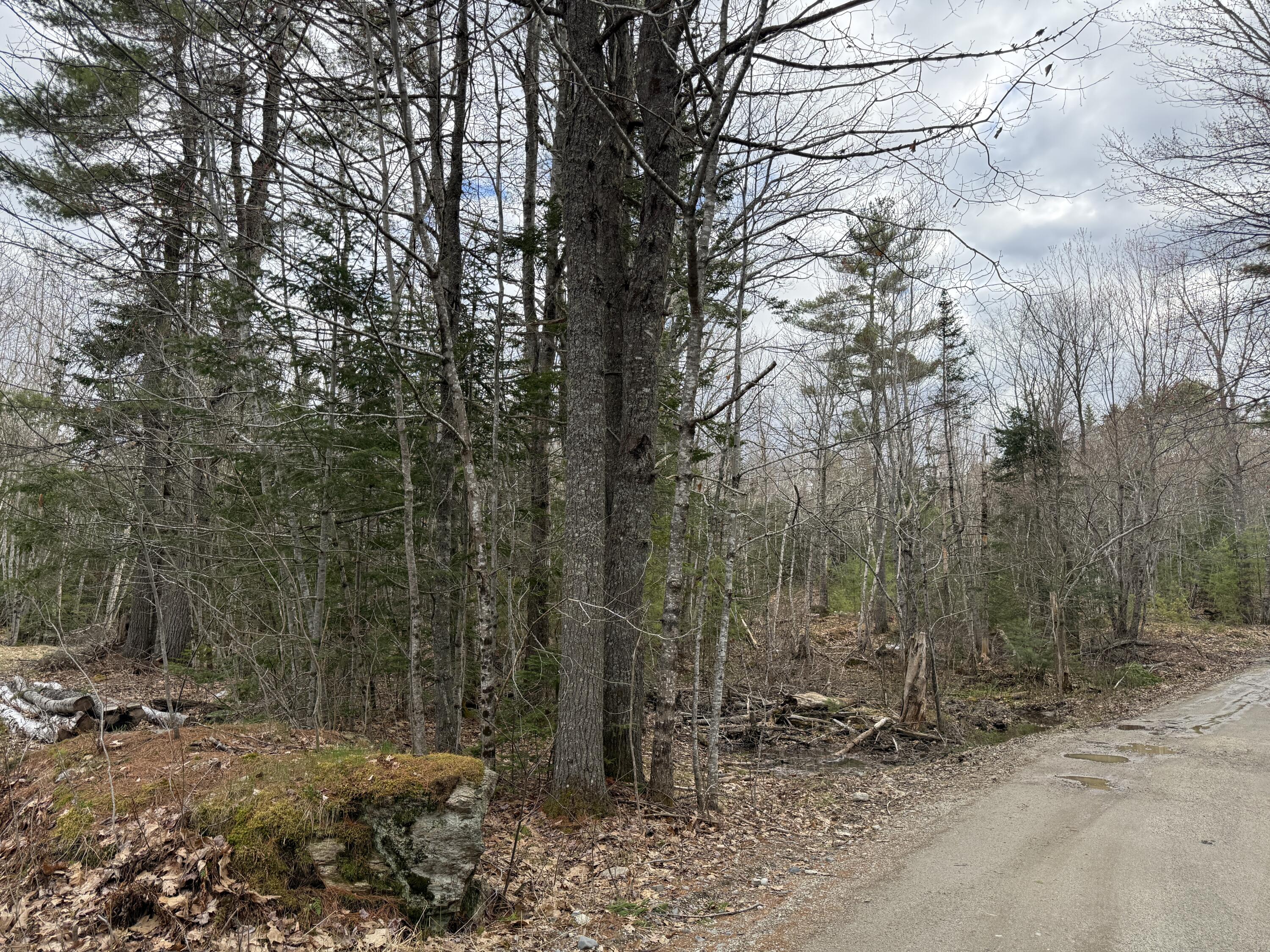59 Sennet Way Ellsworth, ME 04605 - Photo 4 of 4 IMG_2232