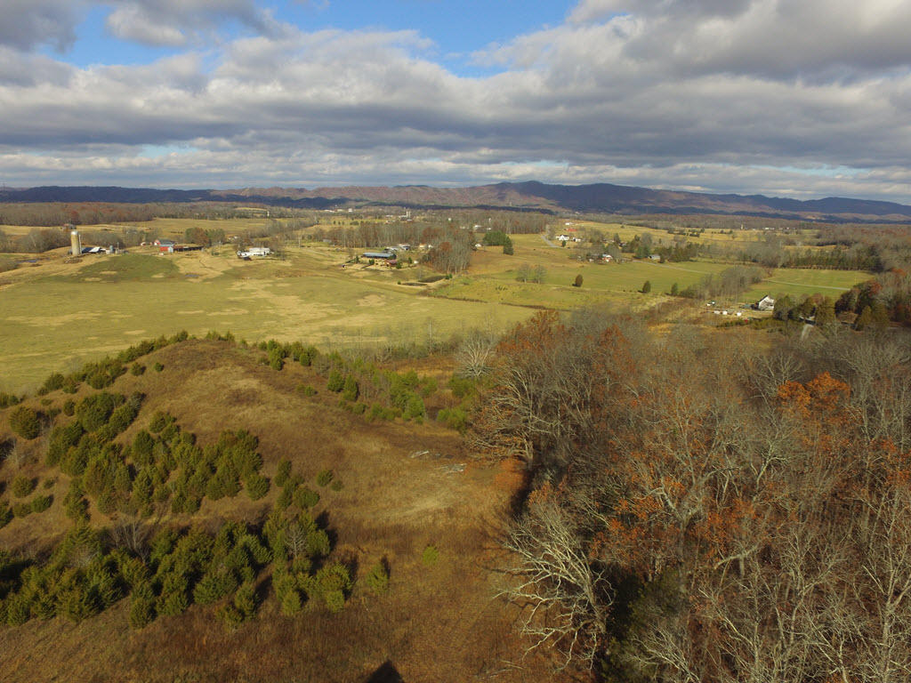 3195 Ottway Road Greeneville, TN 37745 - Photo 21 of 38 21