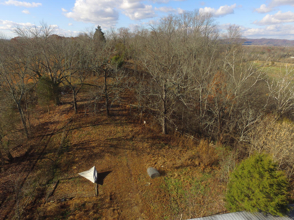 3195 Ottway Road Greeneville, TN 37745 - Photo 24 of 38 24