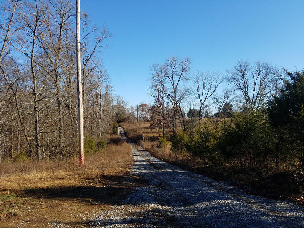 3195 Ottway Road Greeneville, TN 37745 - Photo 26 of 38 26