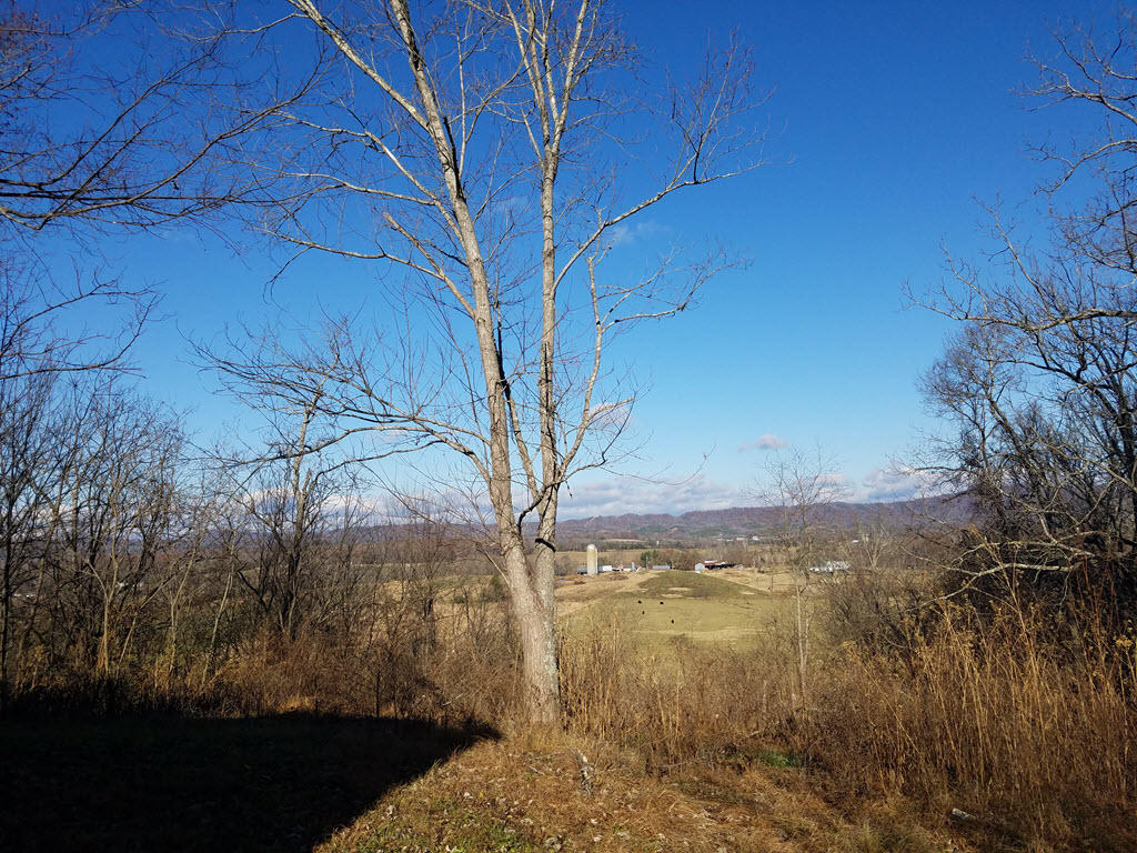 3195 Ottway Road Greeneville, TN 37745 - Photo 29 of 38 29
