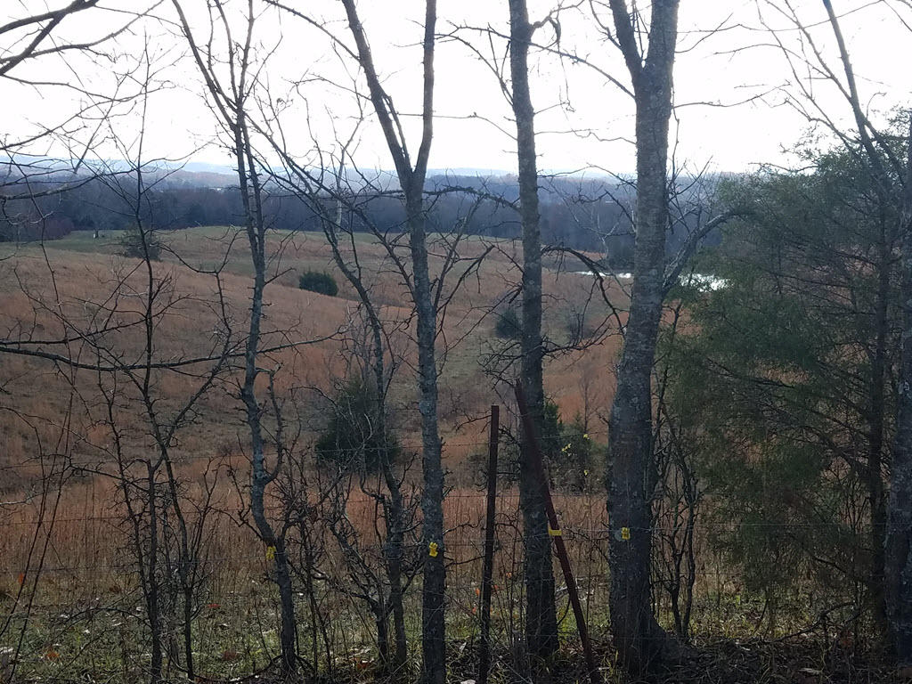 3195 Ottway Road Greeneville, TN 37745 - Photo 31 of 38 31