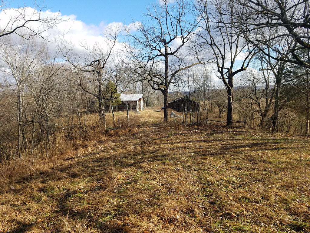3195 Ottway Road Greeneville, TN 37745 - Photo 33 of 38 33