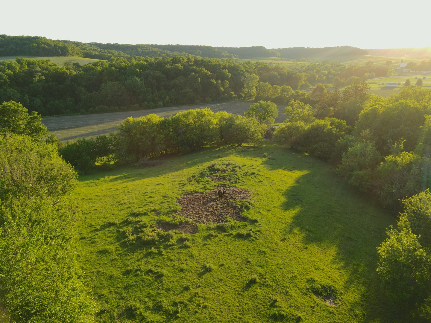 3340 West Longhollow Road Elizabeth, IL 61028 - Photo 31 of 52