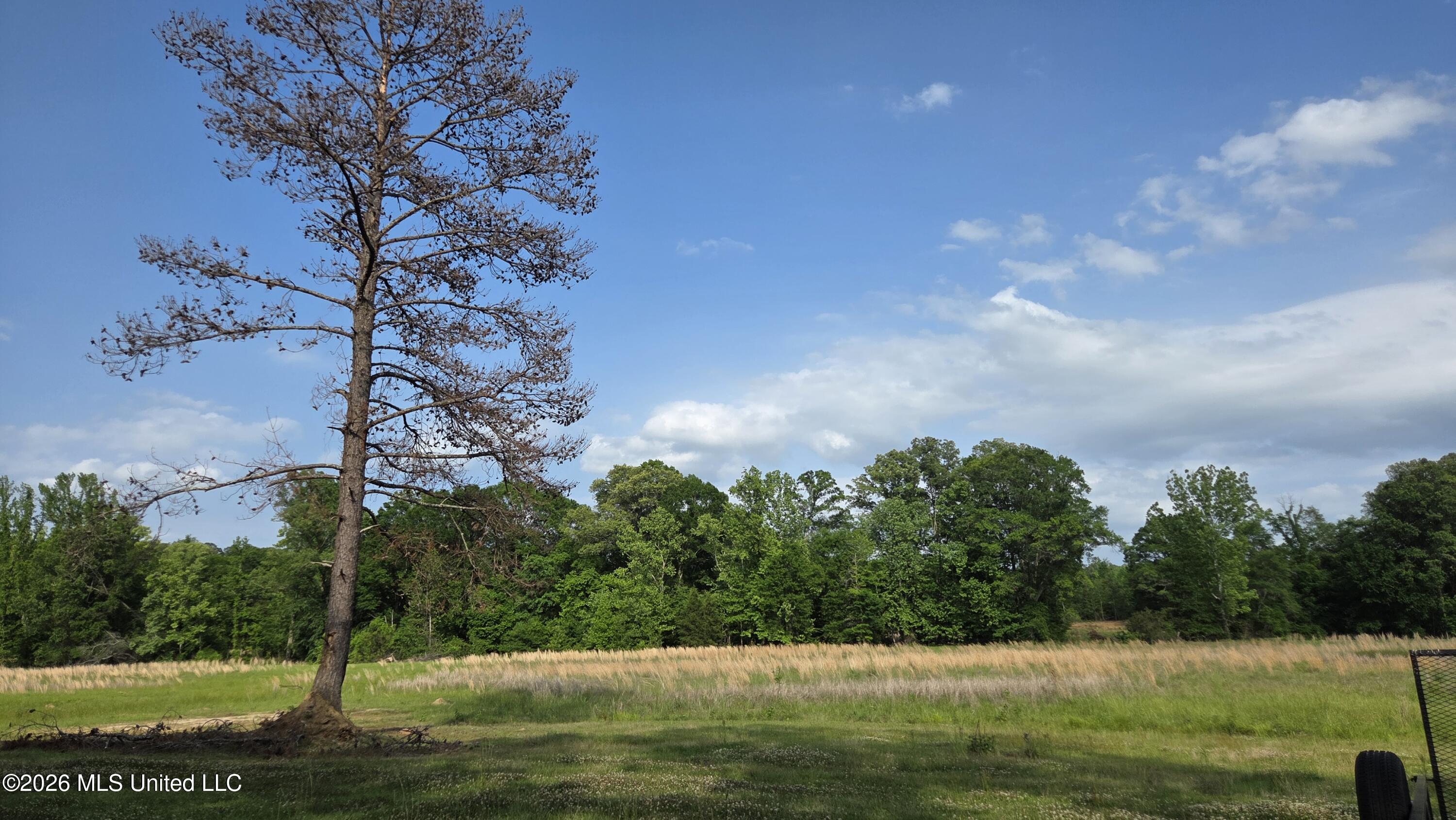 4845 Cayuga Road Utica, MS 39175 - Photo 2 of 21 20260427_164631