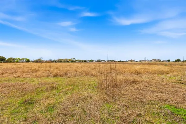 a view of a grassy field with trees