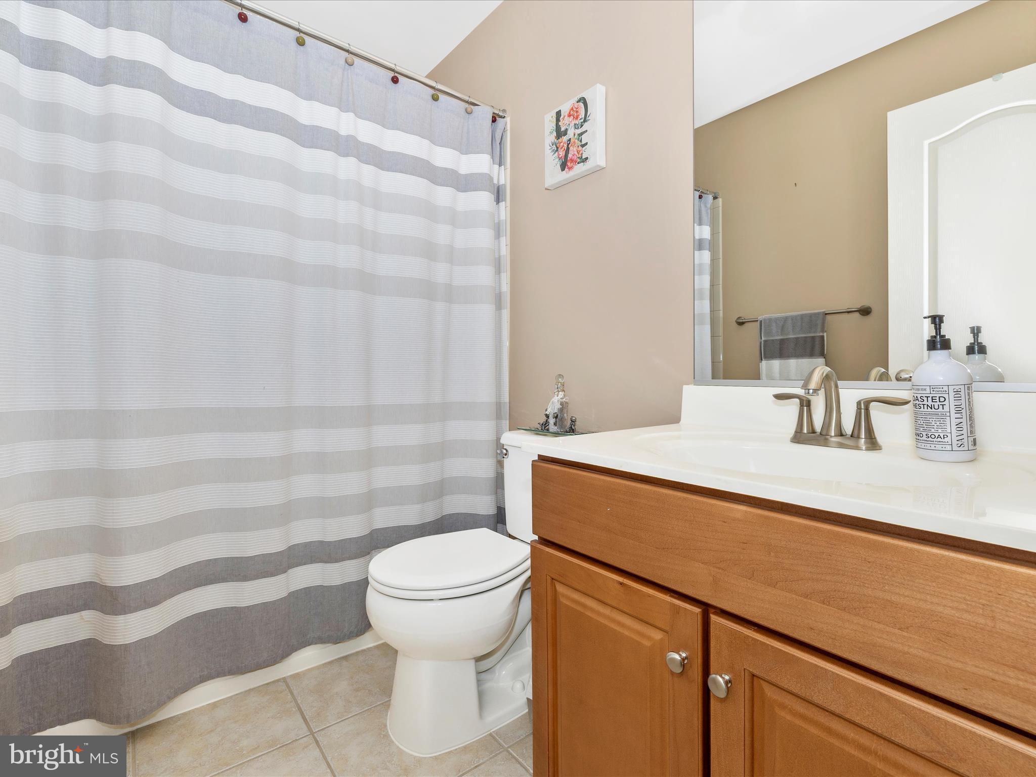 12954 Yellow Jacket Road Hagerstown, MD 21740 - Photo 41 of 54 a bathroom with a sink toilet and shower