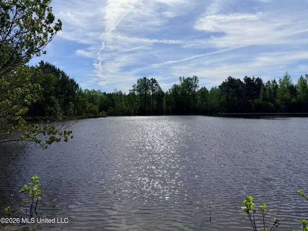 $735,500 | Chathaw Path, Smithdale, MS 39664