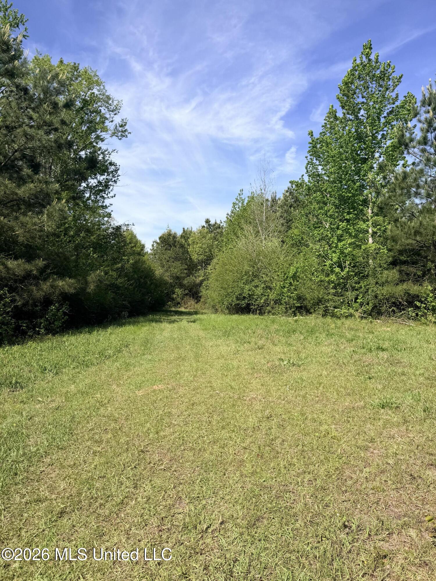 Chathaw Path Smithdale, MS 39664 - Photo 11 of 42 IMG_5015
