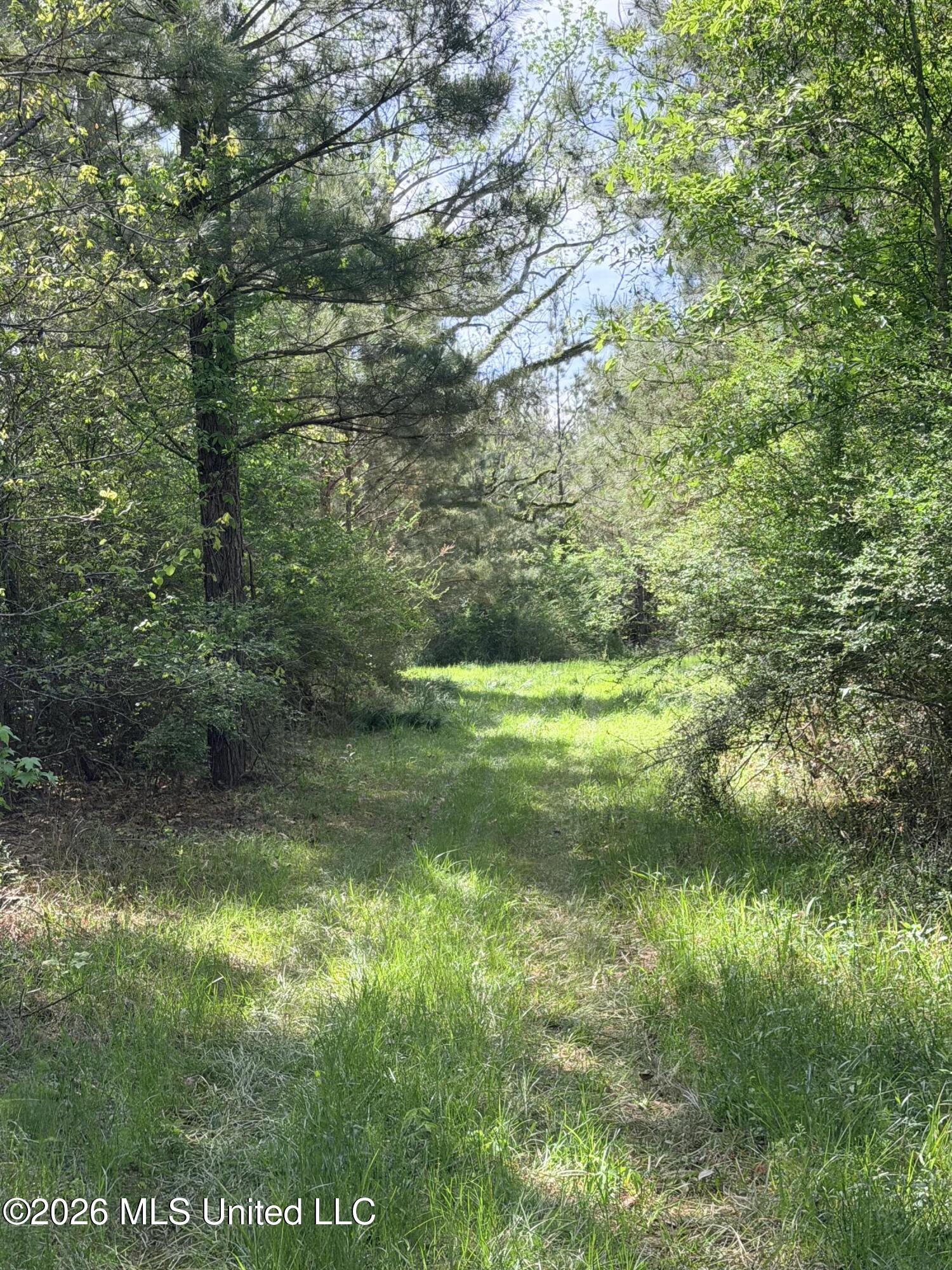 Chathaw Path Smithdale, MS 39664 - Photo 12 of 42 IMG_5011