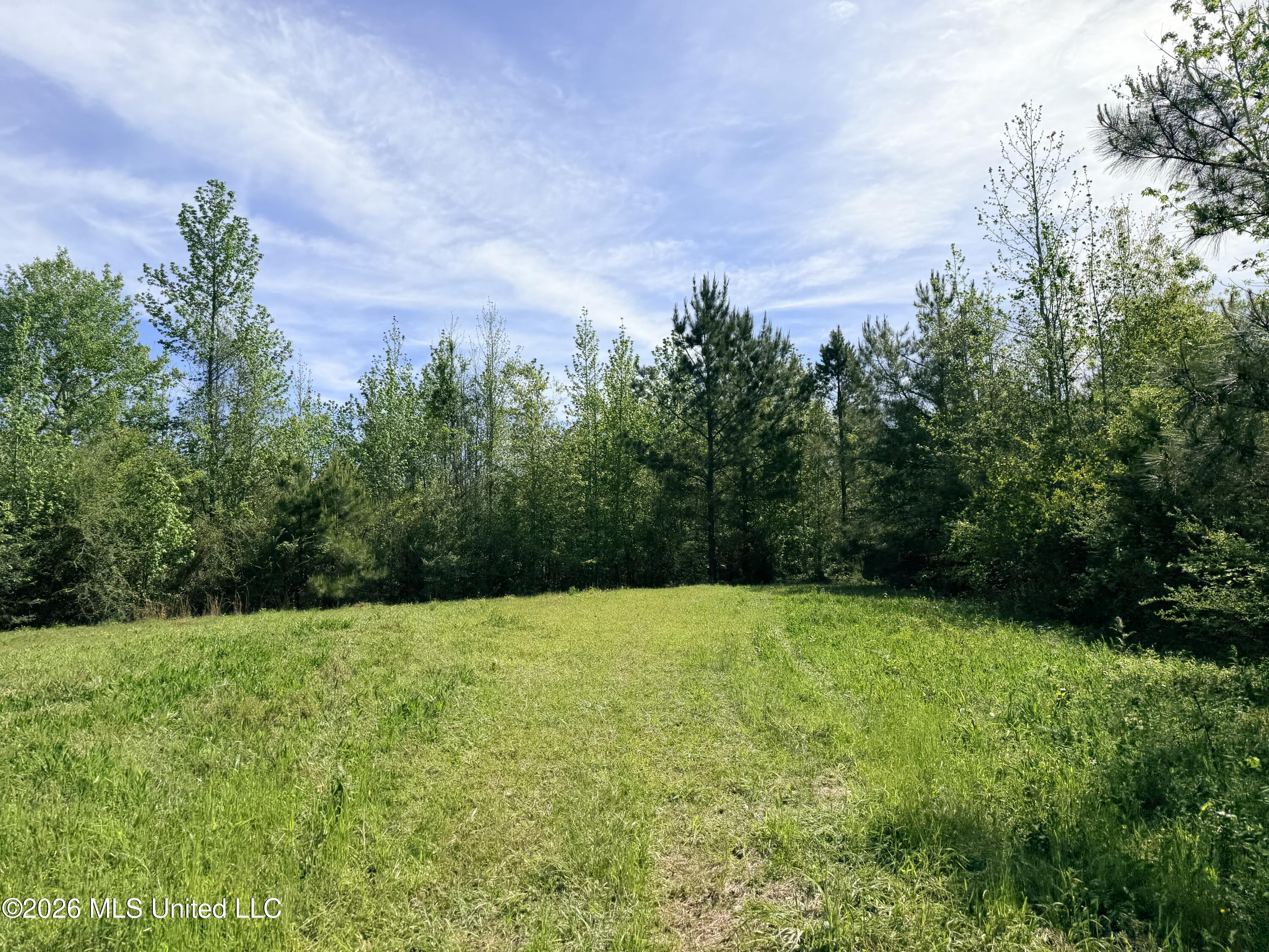 Chathaw Path Smithdale, MS 39664 - Photo 13 of 42 IMG_5019