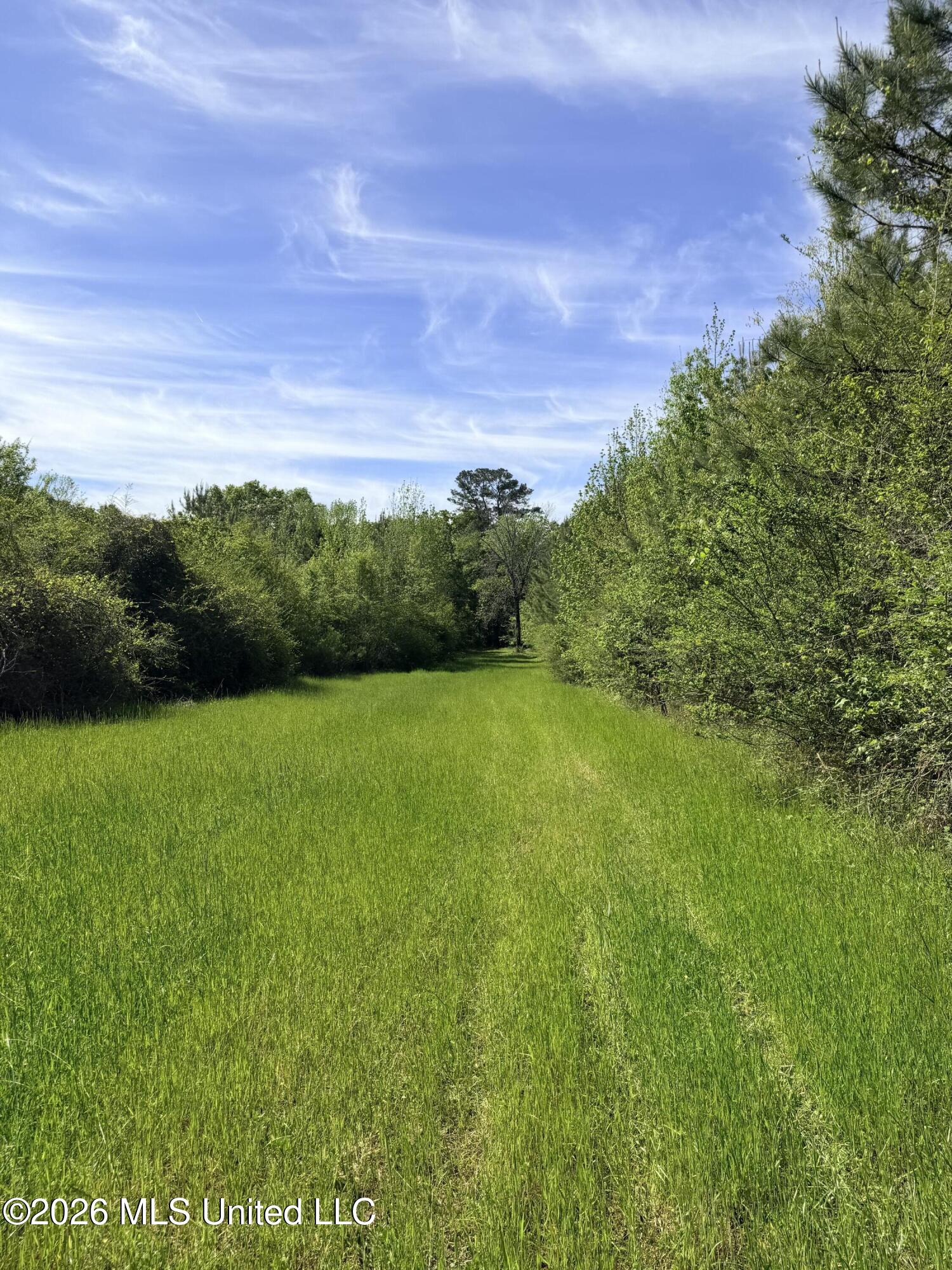 Chathaw Path Smithdale, MS 39664 - Photo 14 of 42 IMG_5024
