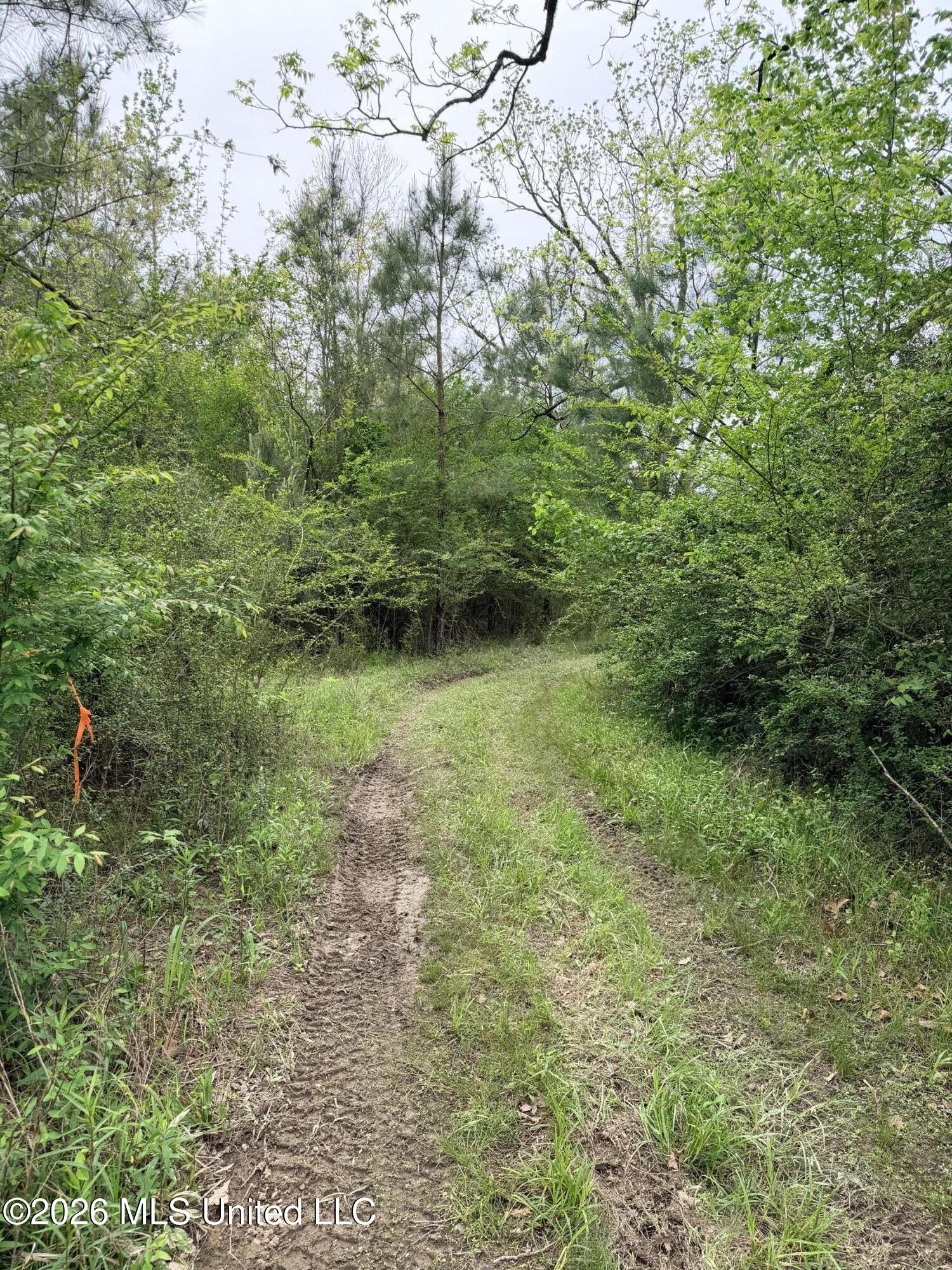 Chathaw Path Smithdale, MS 39664 - Photo 16 of 42 IMG_4948