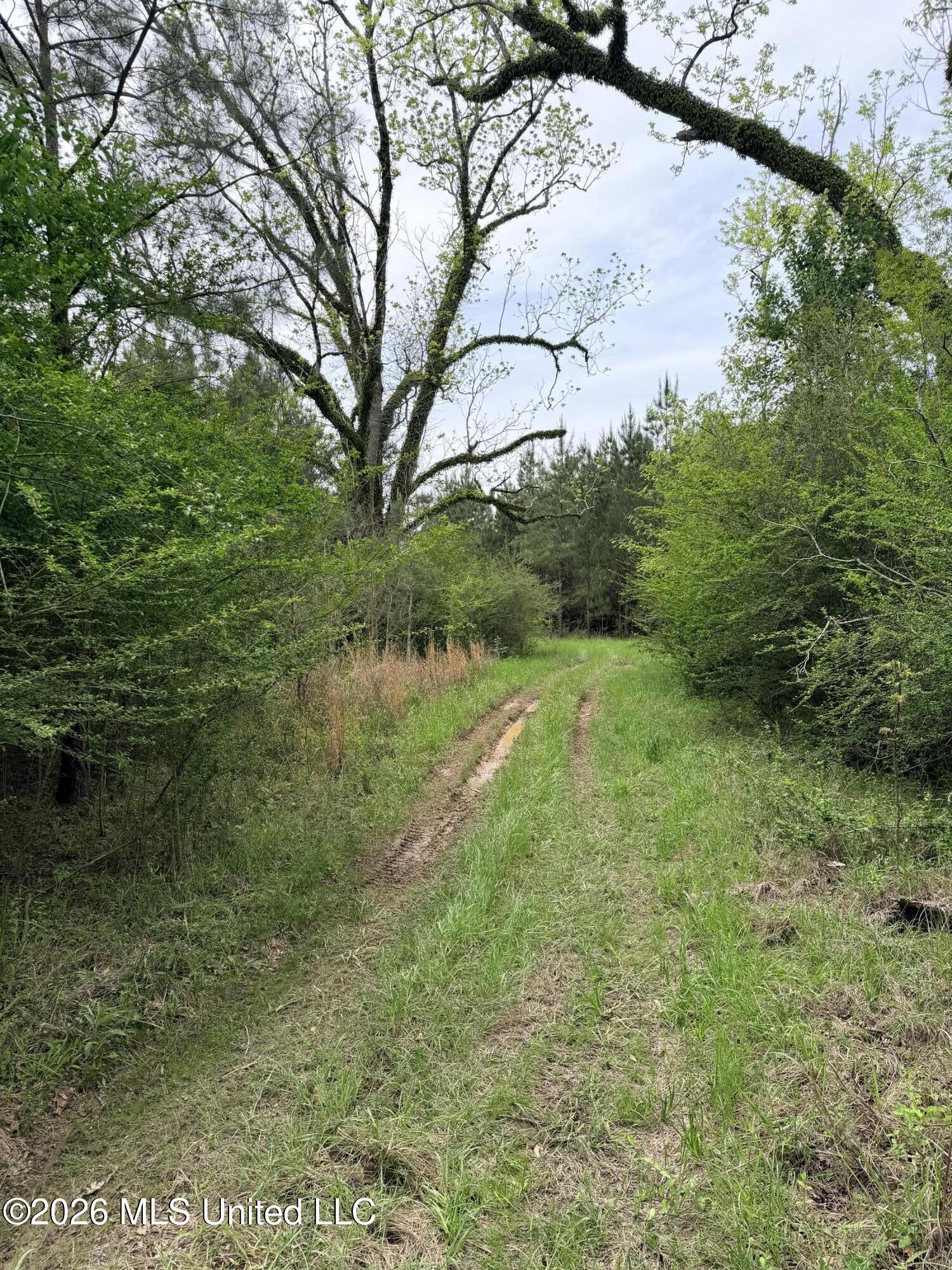 Chathaw Path Smithdale, MS 39664 - Photo 17 of 42 IMG_4949