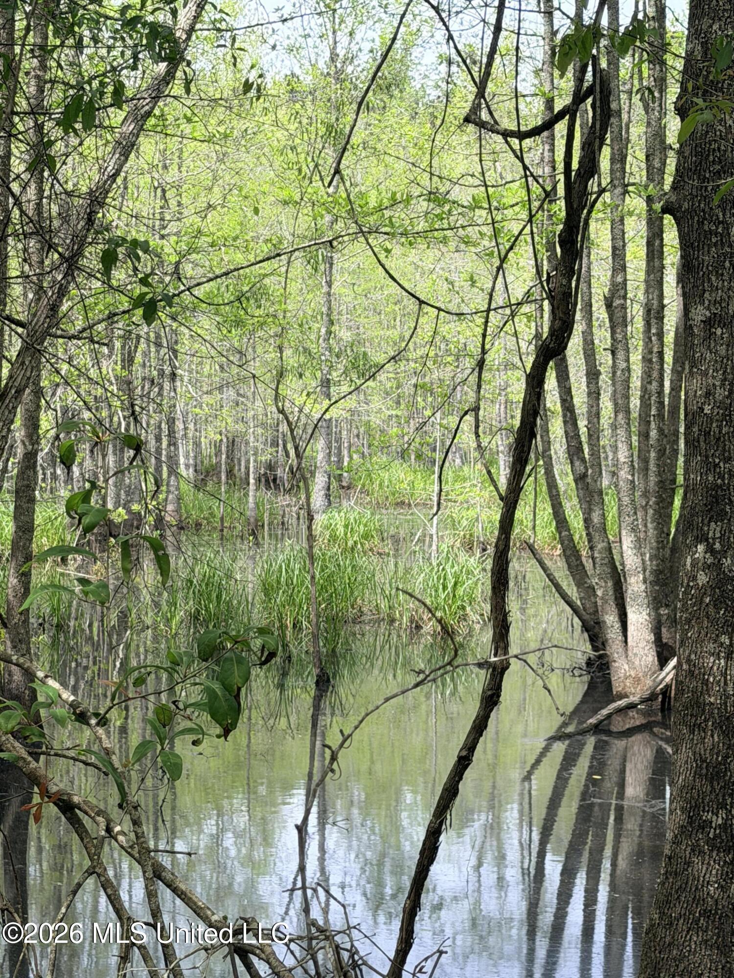 Chathaw Path Smithdale, MS 39664 - Photo 19 of 42 IMG_4972