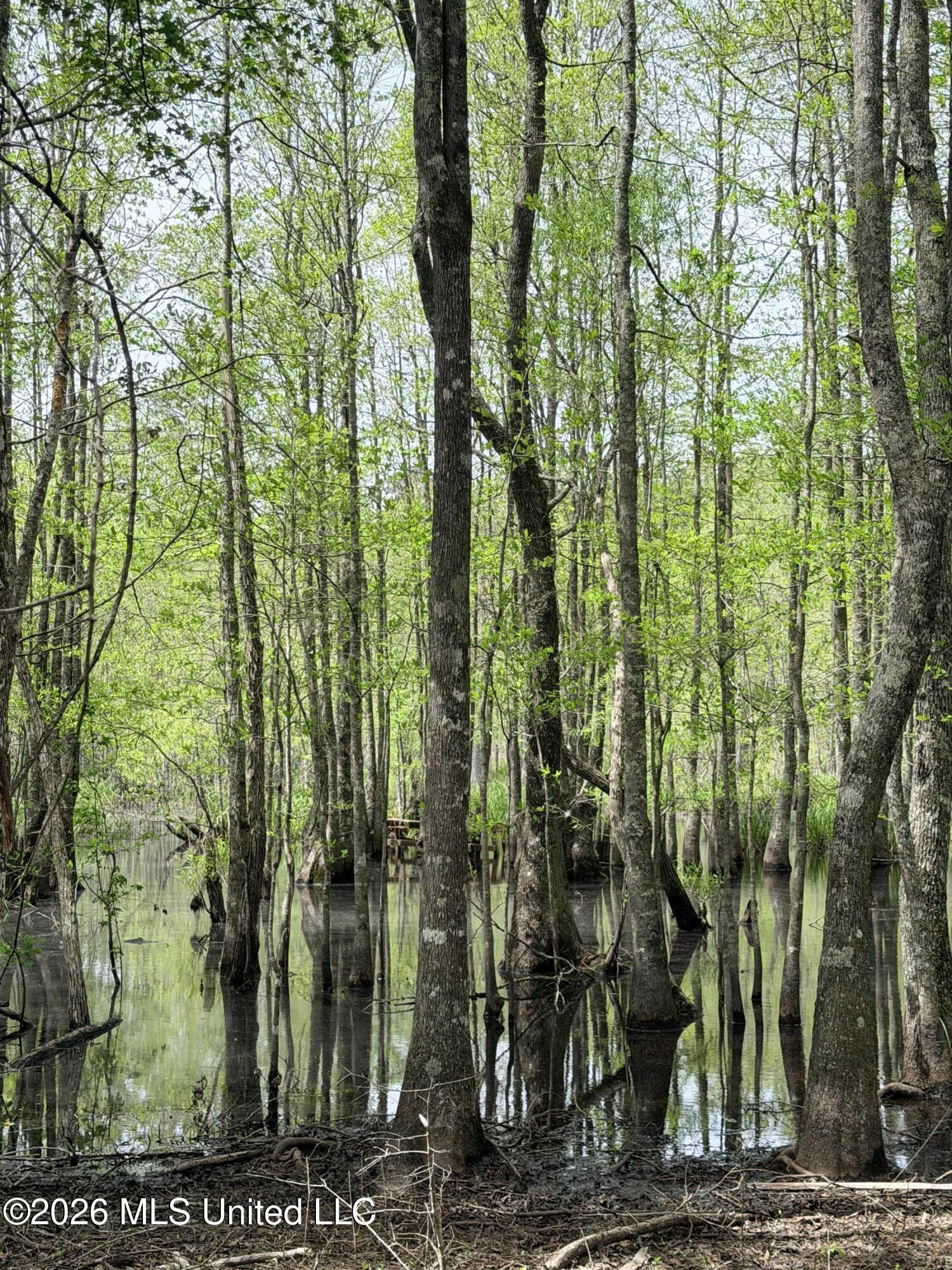 Chathaw Path Smithdale, MS 39664 - Photo 20 of 42 IMG_4974
