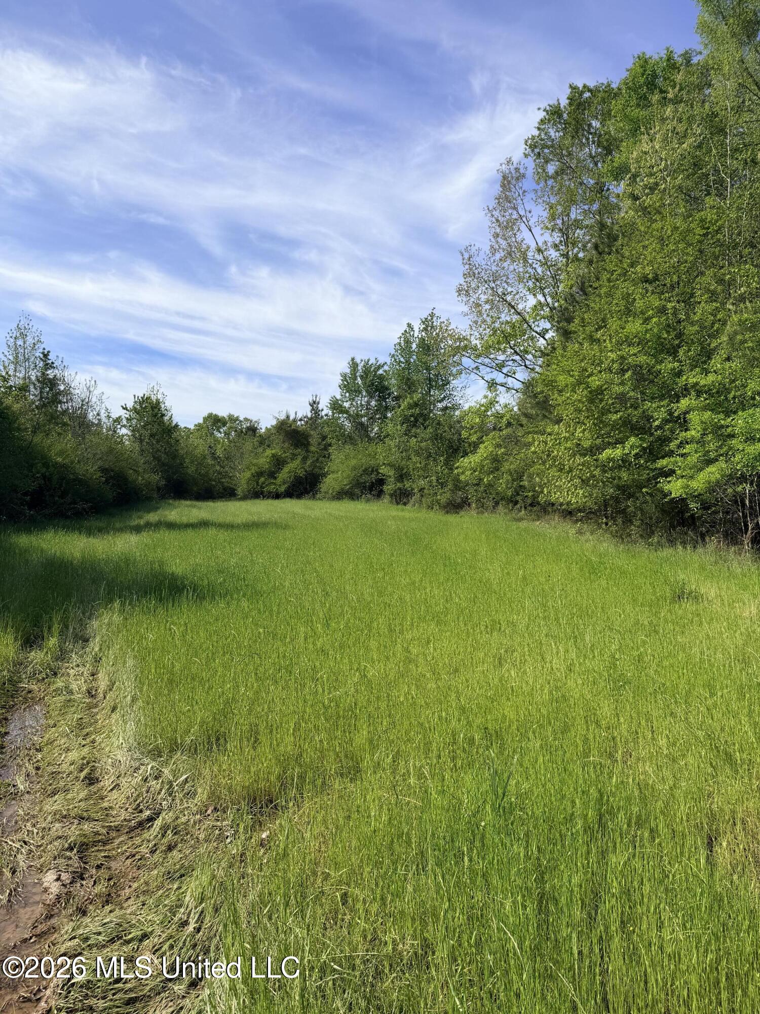 Chathaw Path Smithdale, MS 39664 - Photo 2 of 42 IMG_4980