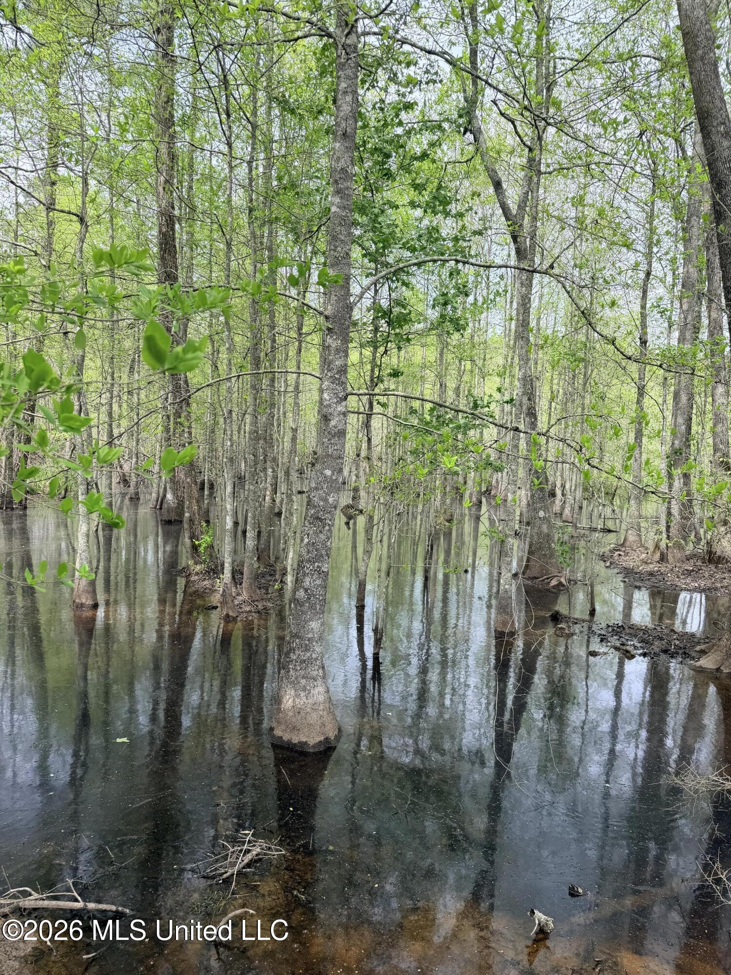Chathaw Path Smithdale, MS 39664 - Photo 21 of 42 IMG_4967