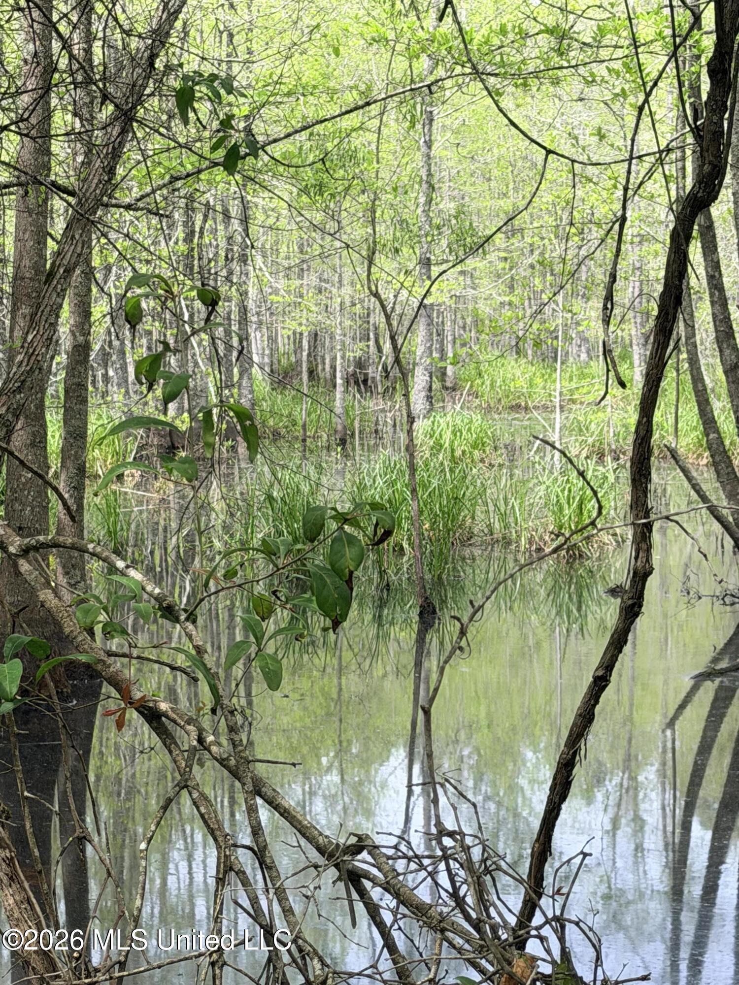 Chathaw Path Smithdale, MS 39664 - Photo 22 of 42 IMG_4971