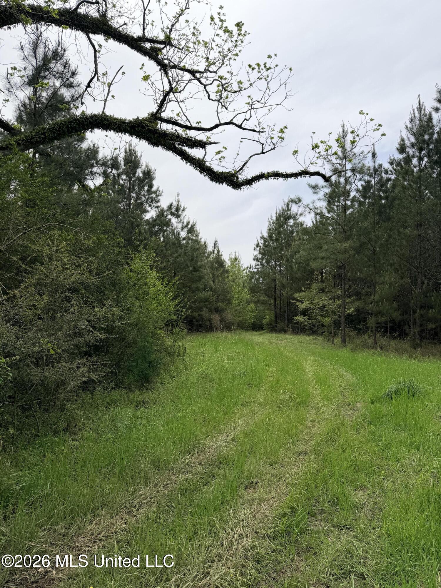 Chathaw Path Smithdale, MS 39664 - Photo 23 of 42 IMG_4955