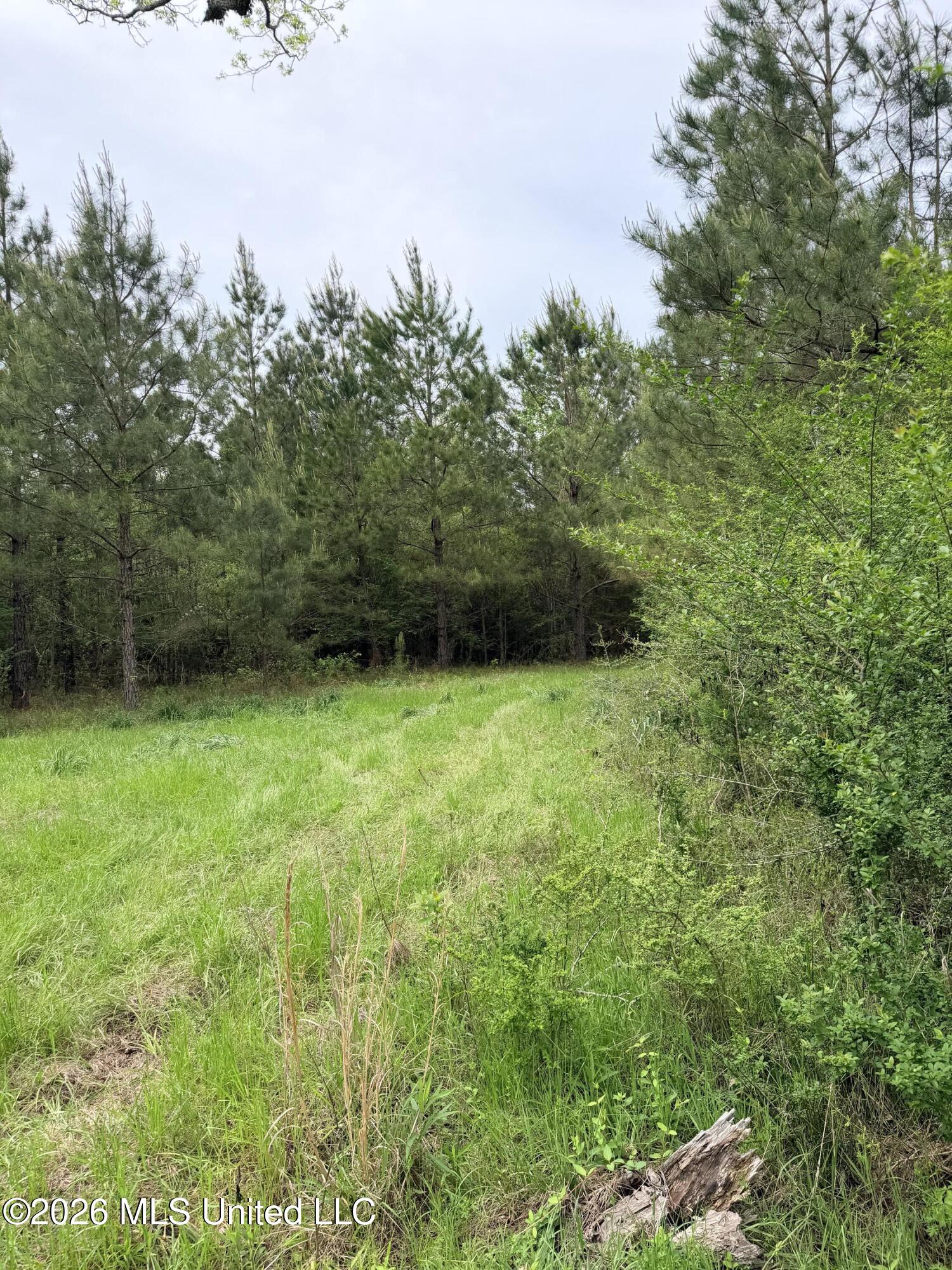 Chathaw Path Smithdale, MS 39664 - Photo 25 of 42 IMG_4954