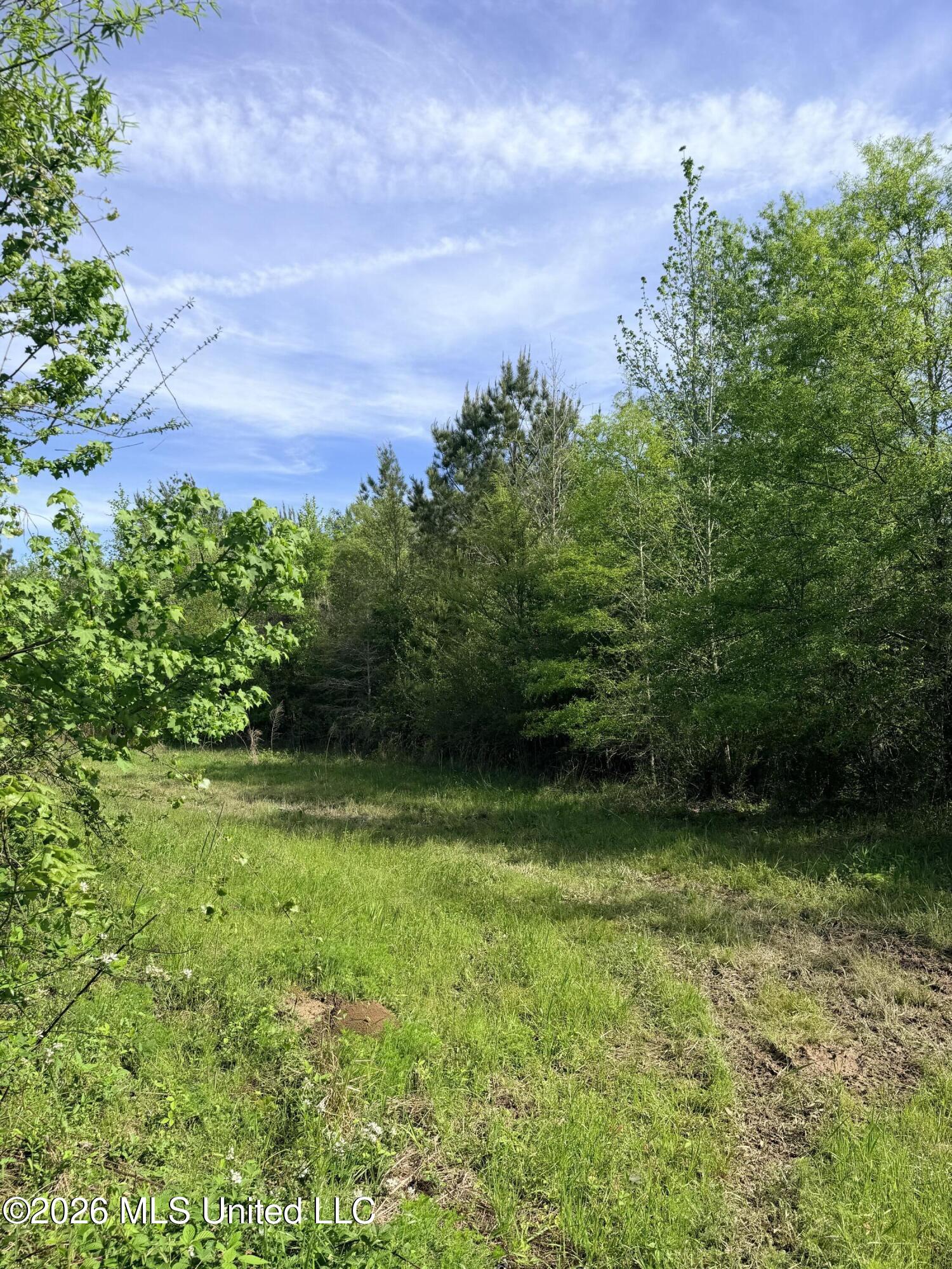 Chathaw Path Smithdale, MS 39664 - Photo 27 of 42 IMG_4983