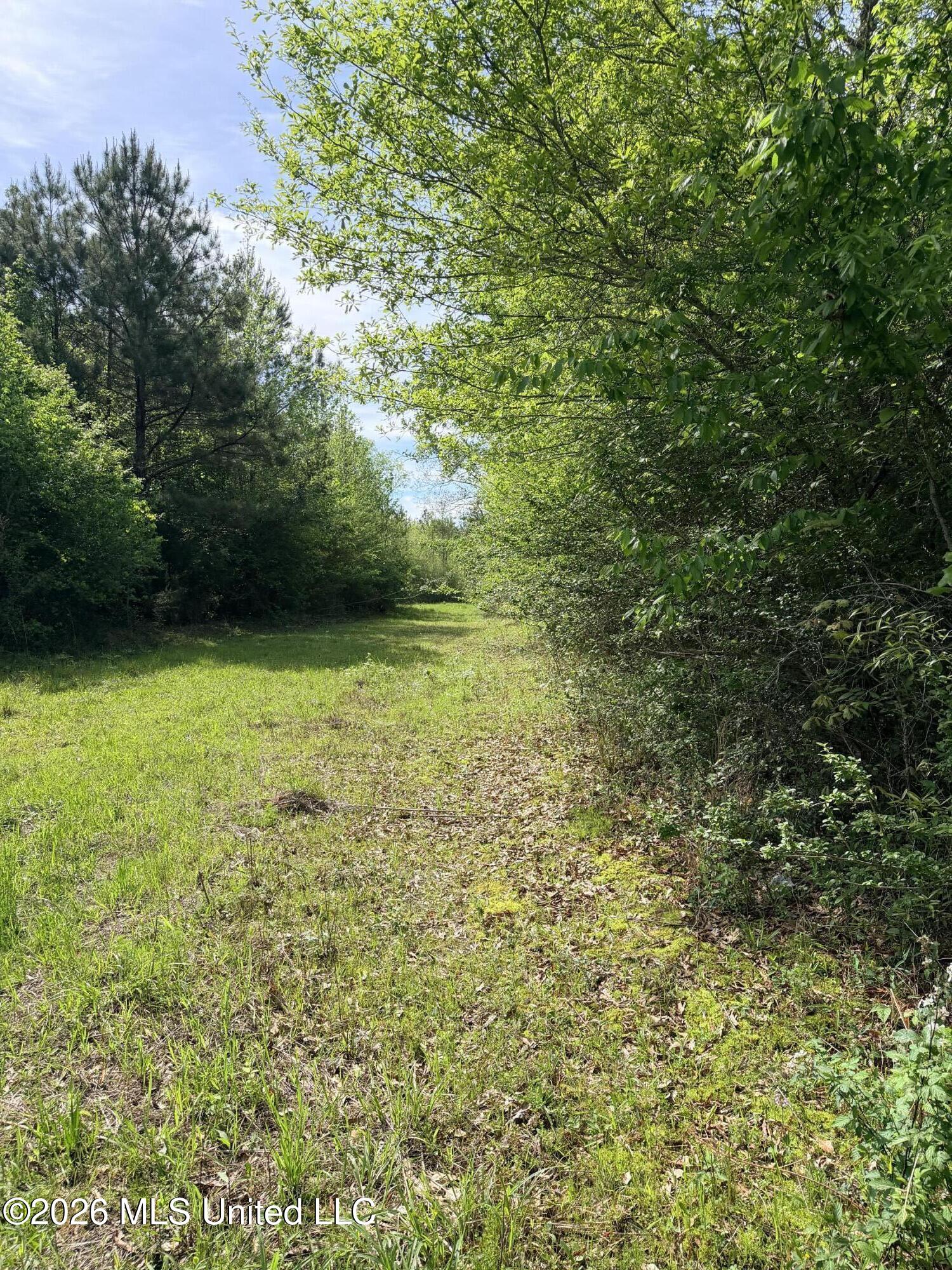 Chathaw Path Smithdale, MS 39664 - Photo 28 of 42 IMG_4984