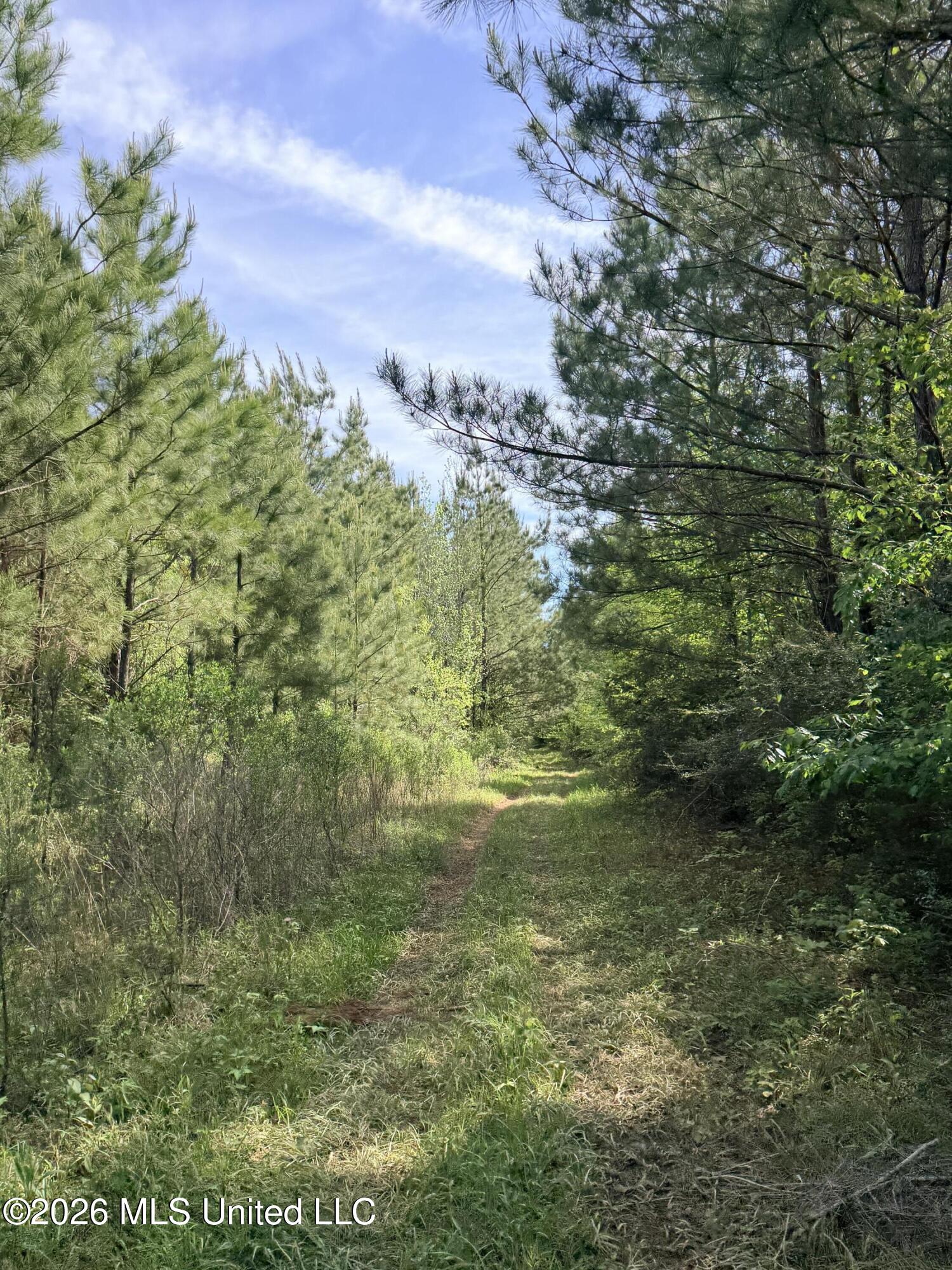 Chathaw Path Smithdale, MS 39664 - Photo 29 of 42 IMG_4985
