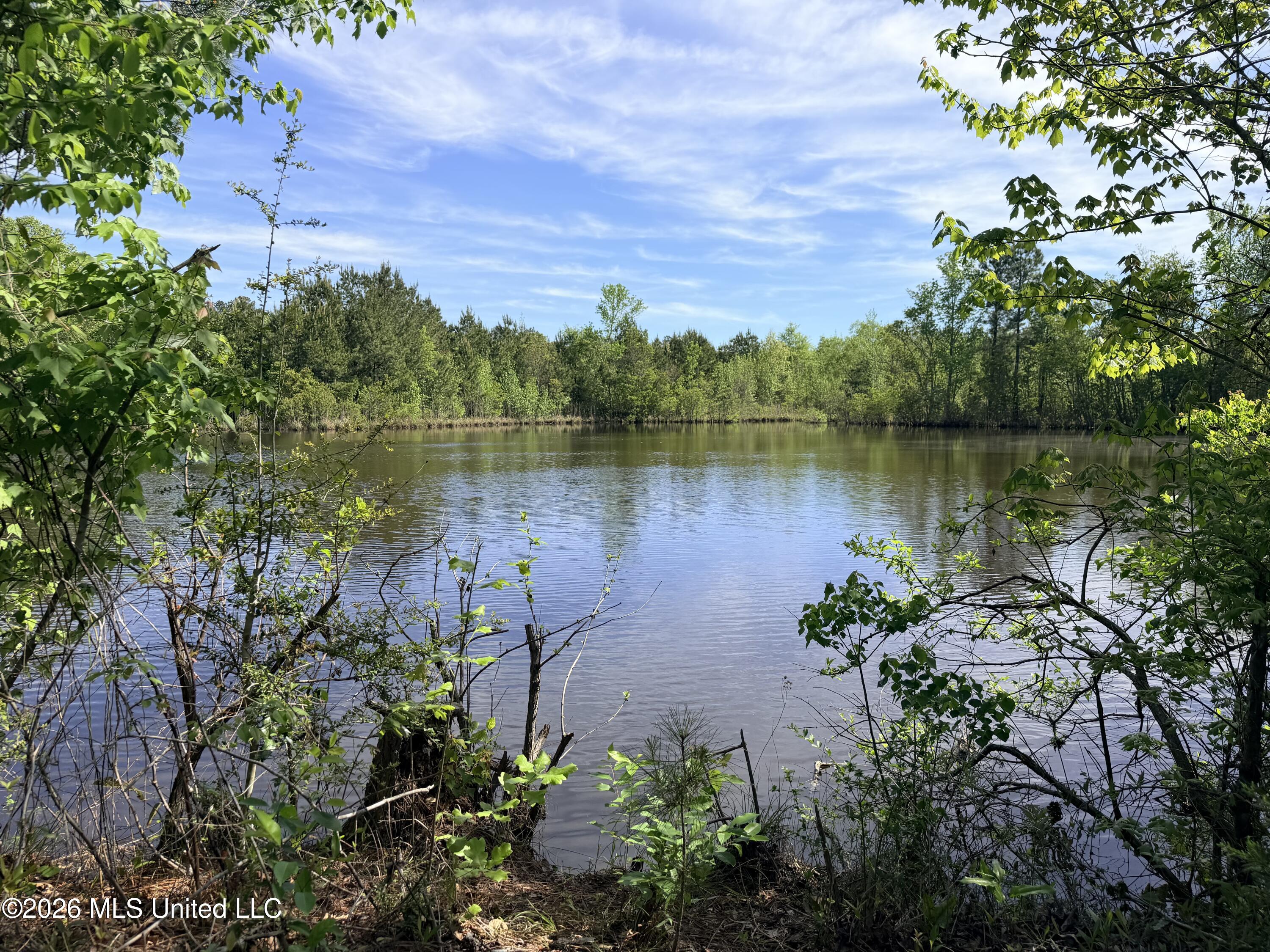 Chathaw Path Smithdale, MS 39664 - Photo 30 of 42 IMG_5018