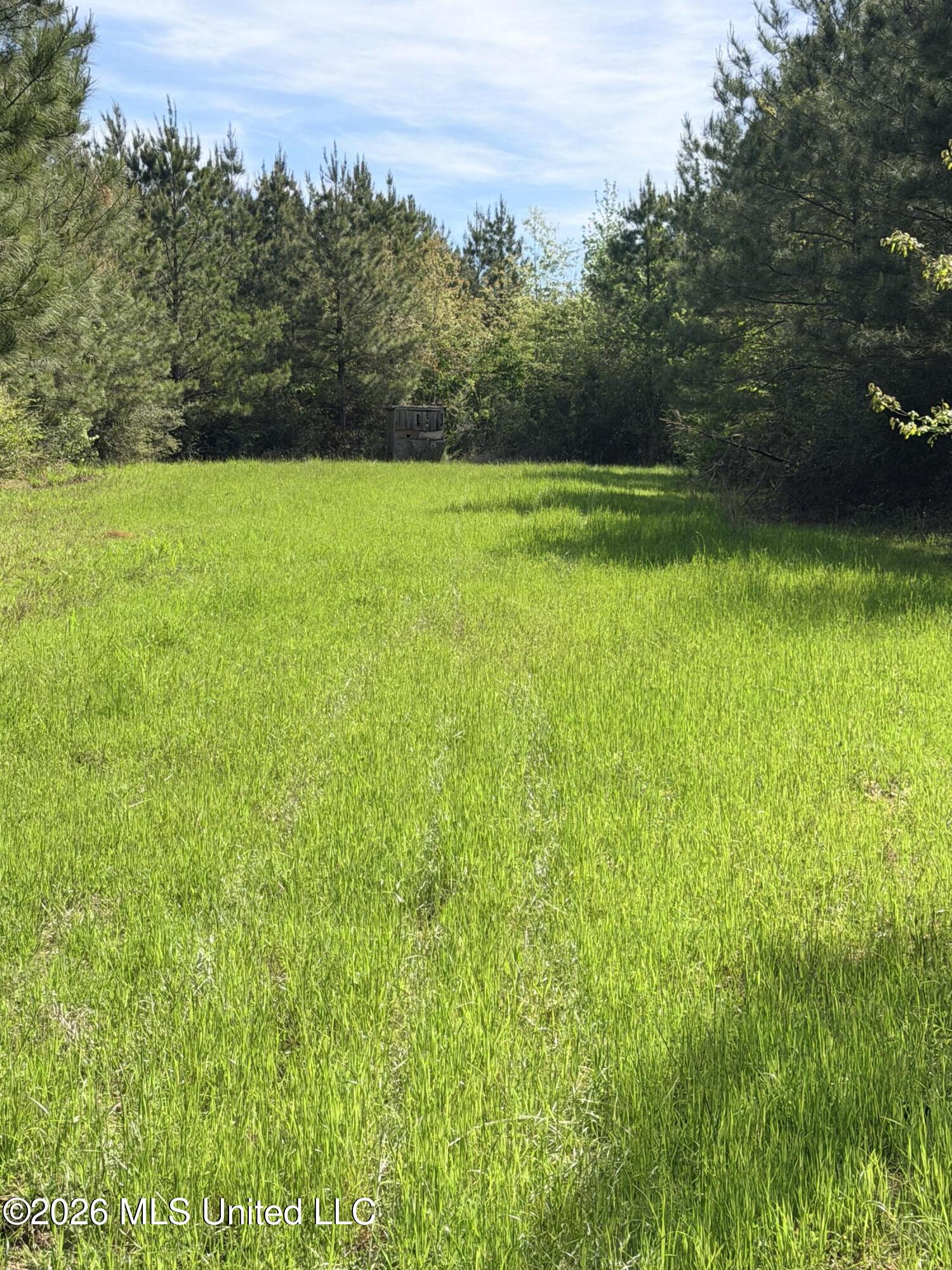 Chathaw Path Smithdale, MS 39664 - Photo 3 of 42 IMG_5009