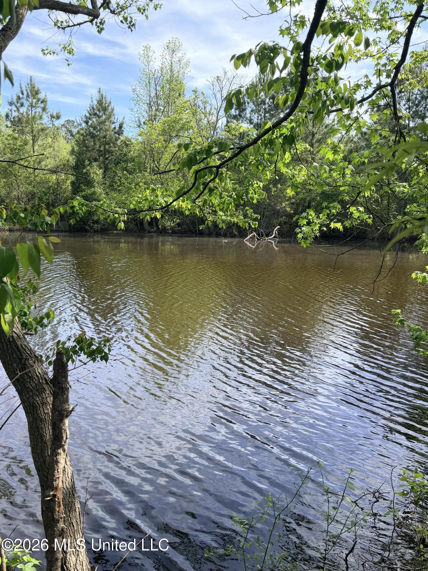 Chathaw Path Smithdale, MS 39664 - Photo 31 of 42 IMG_4997