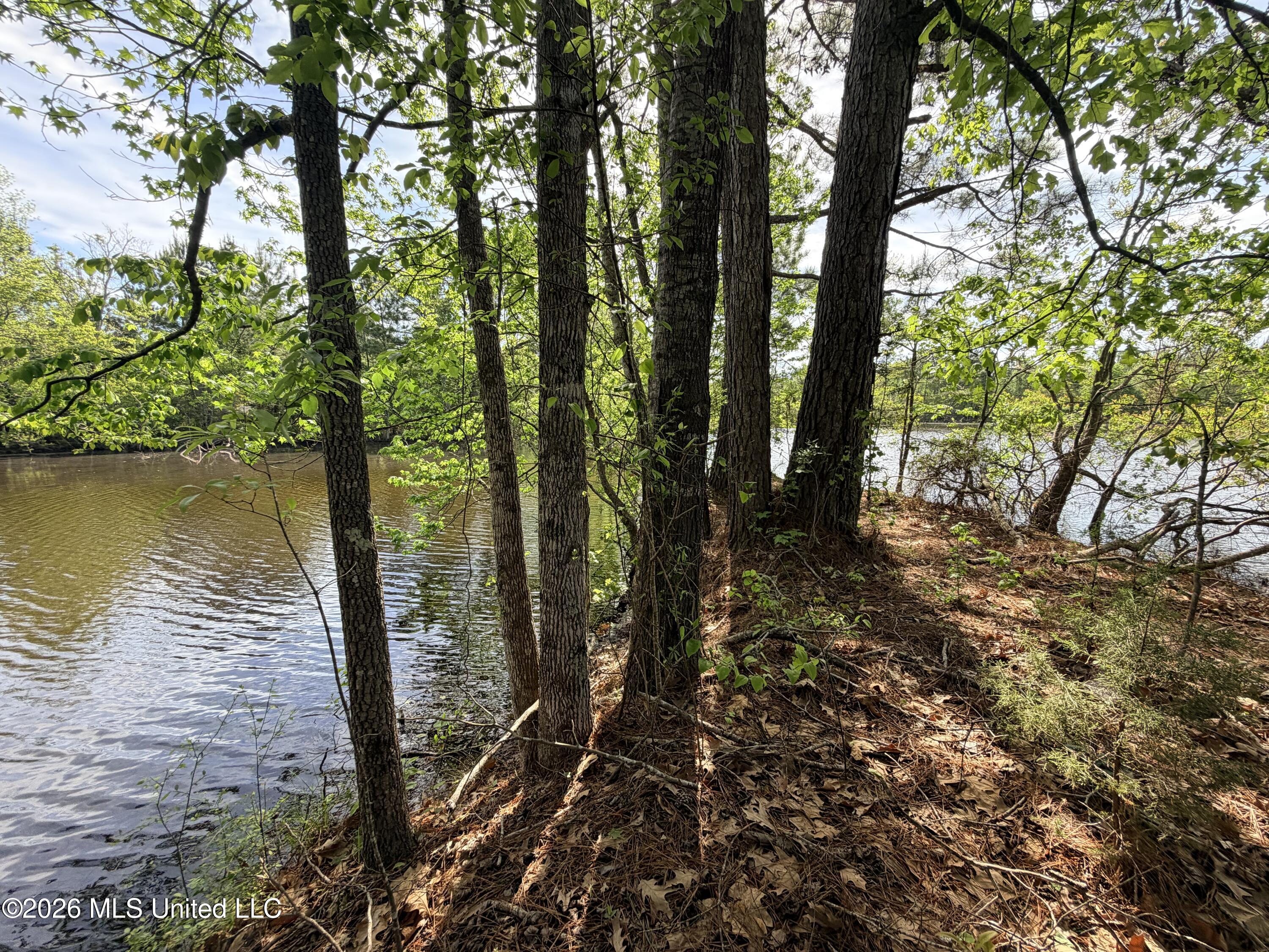 Chathaw Path Smithdale, MS 39664 - Photo 32 of 42 IMG_4999