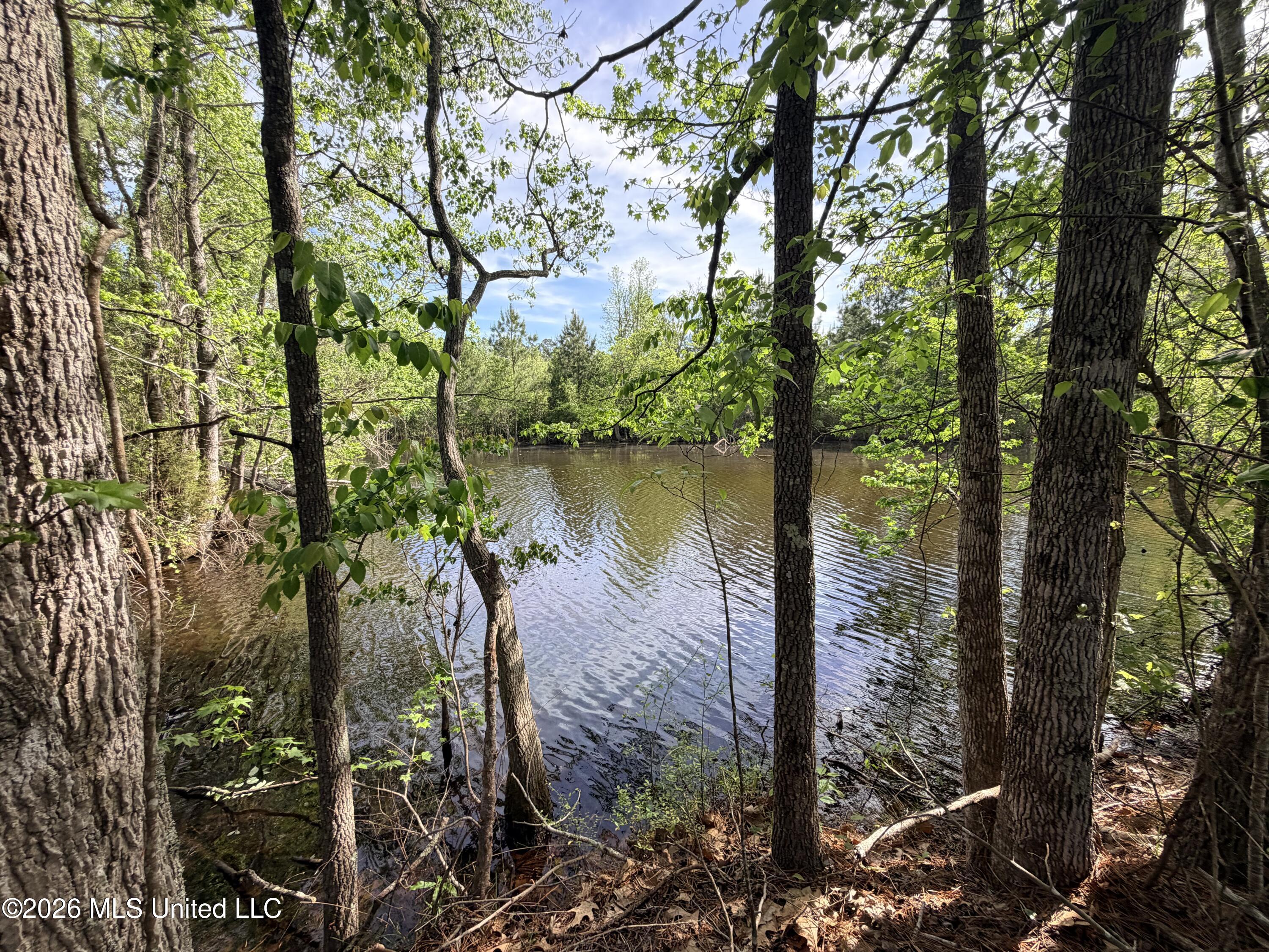 Chathaw Path Smithdale, MS 39664 - Photo 33 of 42 IMG_5001