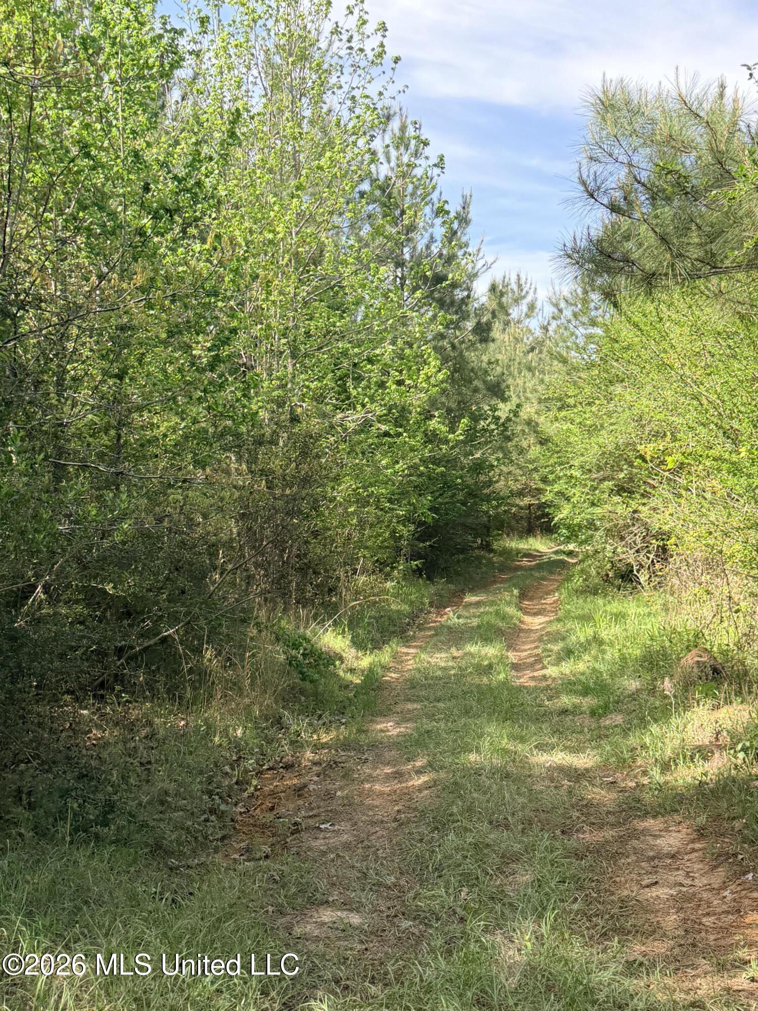 Chathaw Path Smithdale, MS 39664 - Photo 34 of 42 IMG_5014