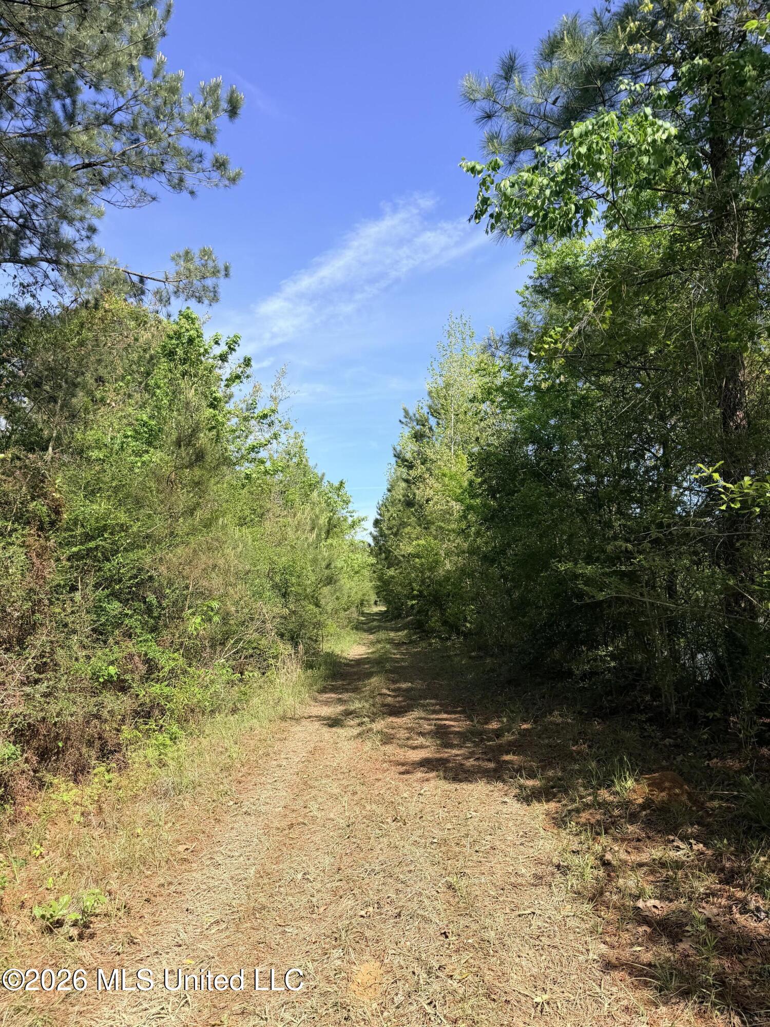 Chathaw Path Smithdale, MS 39664 - Photo 35 of 42 IMG_5016