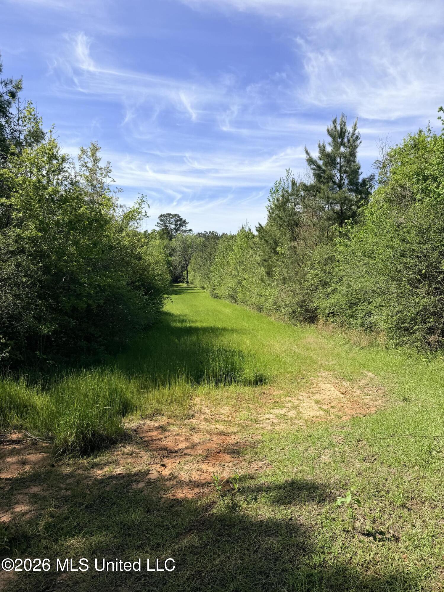 Chathaw Path Smithdale, MS 39664 - Photo 36 of 42 IMG_5021
