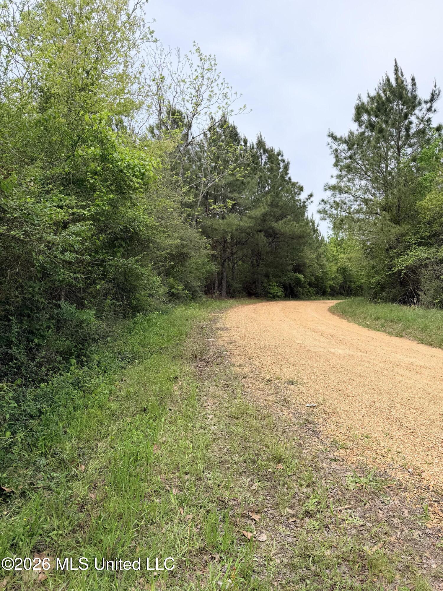 Chathaw Path Smithdale, MS 39664 - Photo 37 of 42 IMG_4957