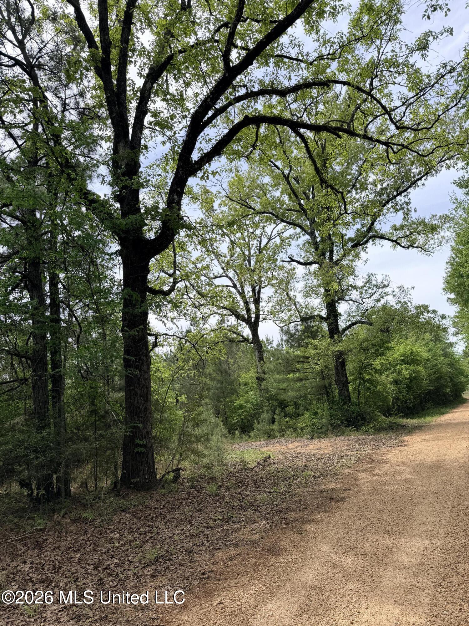 Chathaw Path Smithdale, MS 39664 - Photo 38 of 42 IMG_4966