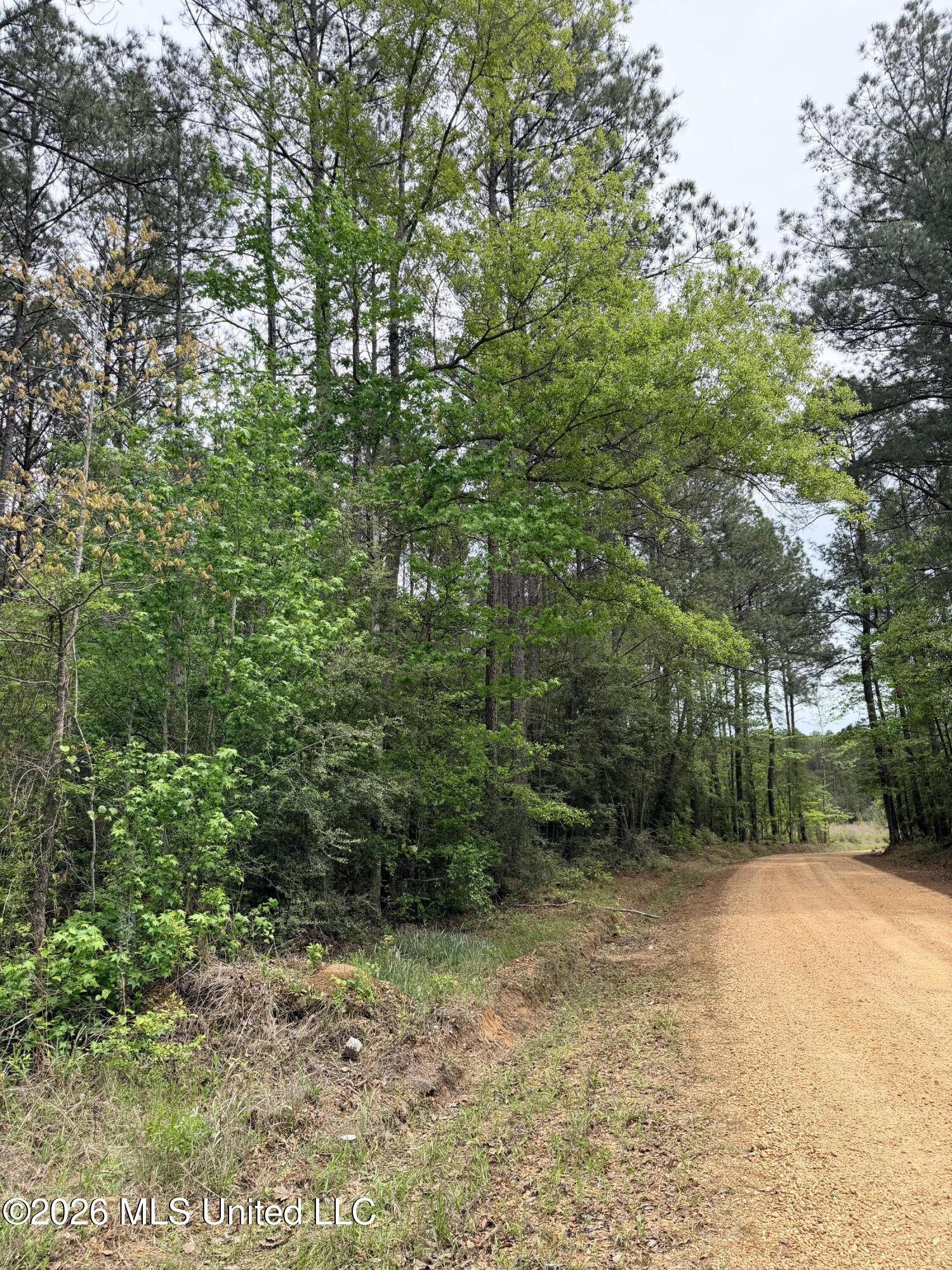 Chathaw Path Smithdale, MS 39664 - Photo 39 of 42 IMG_4960