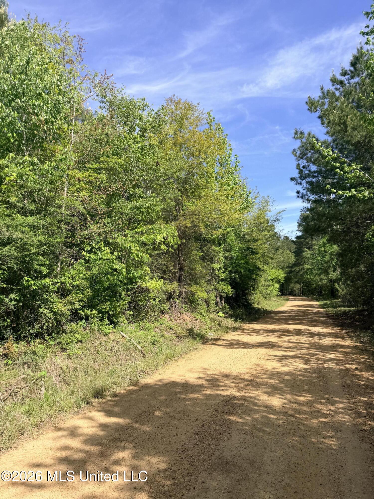 Chathaw Path Smithdale, MS 39664 - Photo 40 of 42 IMG_5027