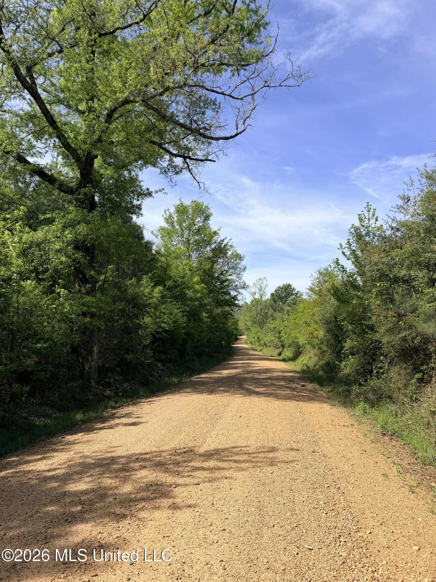 Chathaw Path Smithdale, MS 39664 - Photo 41 of 42 IMG_5029