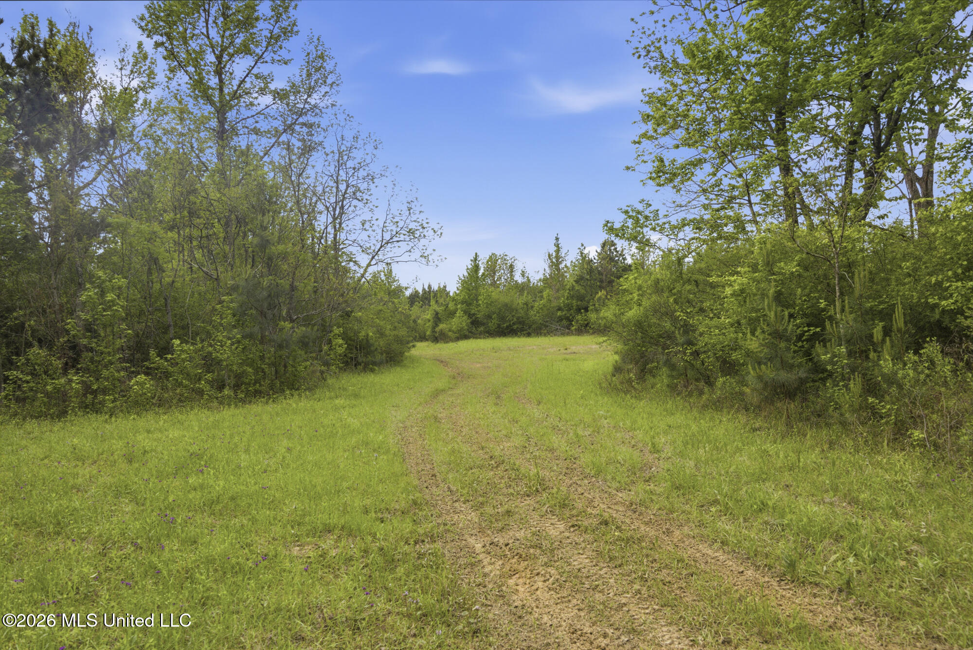 Chathaw Path Smithdale, MS 39664 - Photo 41 of 59 ghubphoto_001