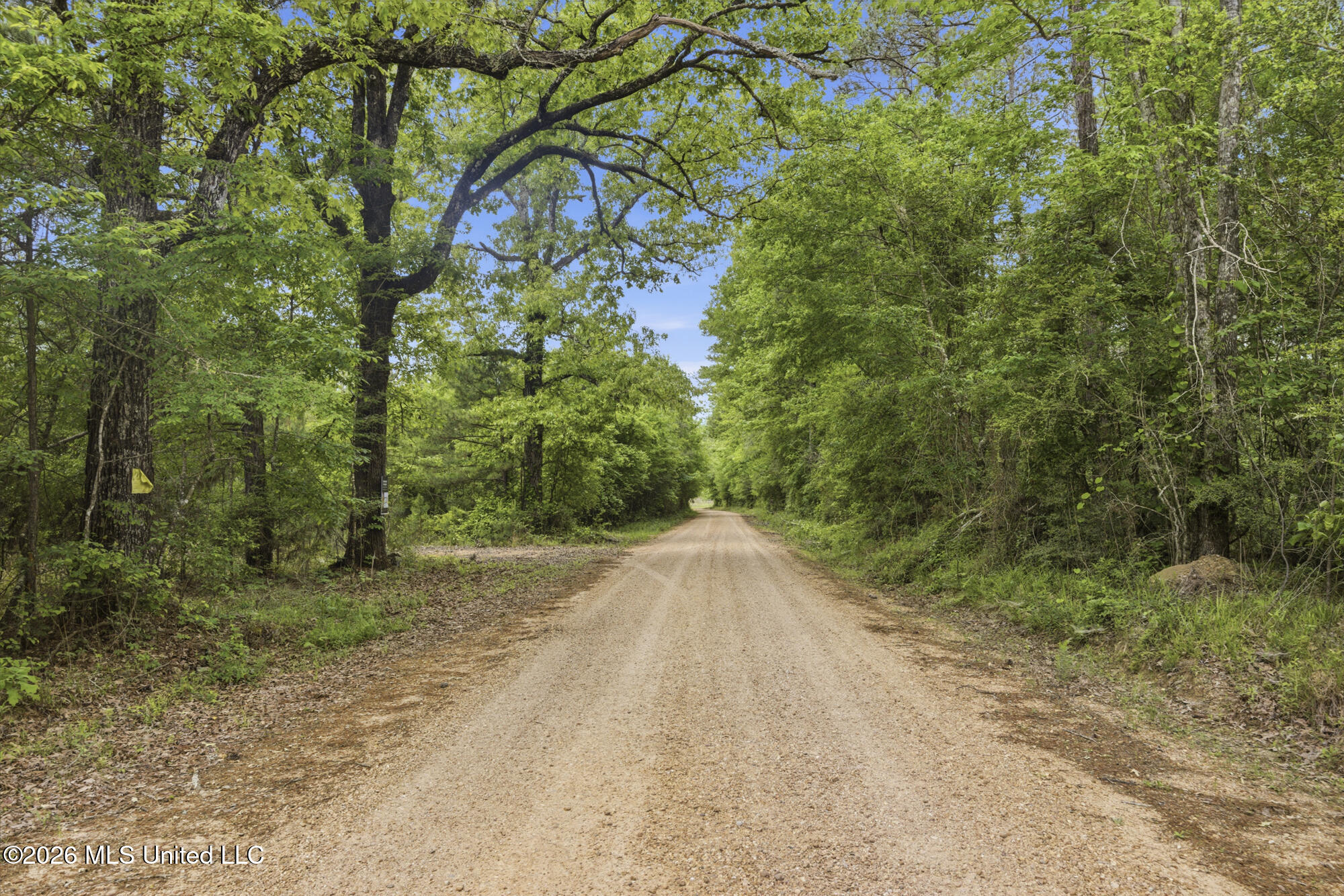 Chathaw Path Smithdale, MS 39664 - Photo 45 of 59 ghubphoto_005