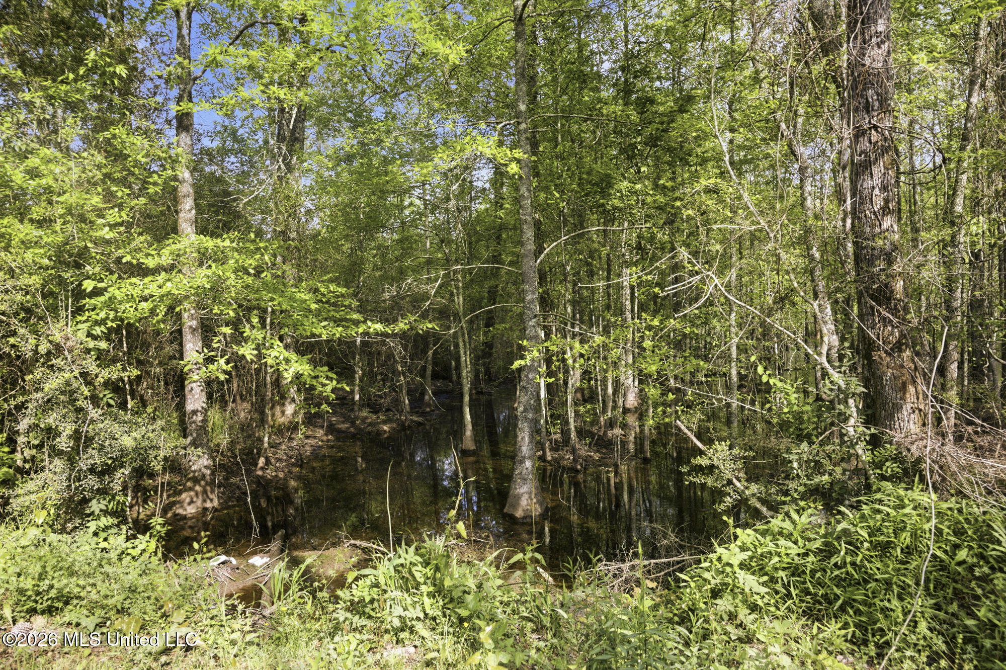 Chathaw Path Smithdale, MS 39664 - Photo 47 of 59 ghubphoto_006
