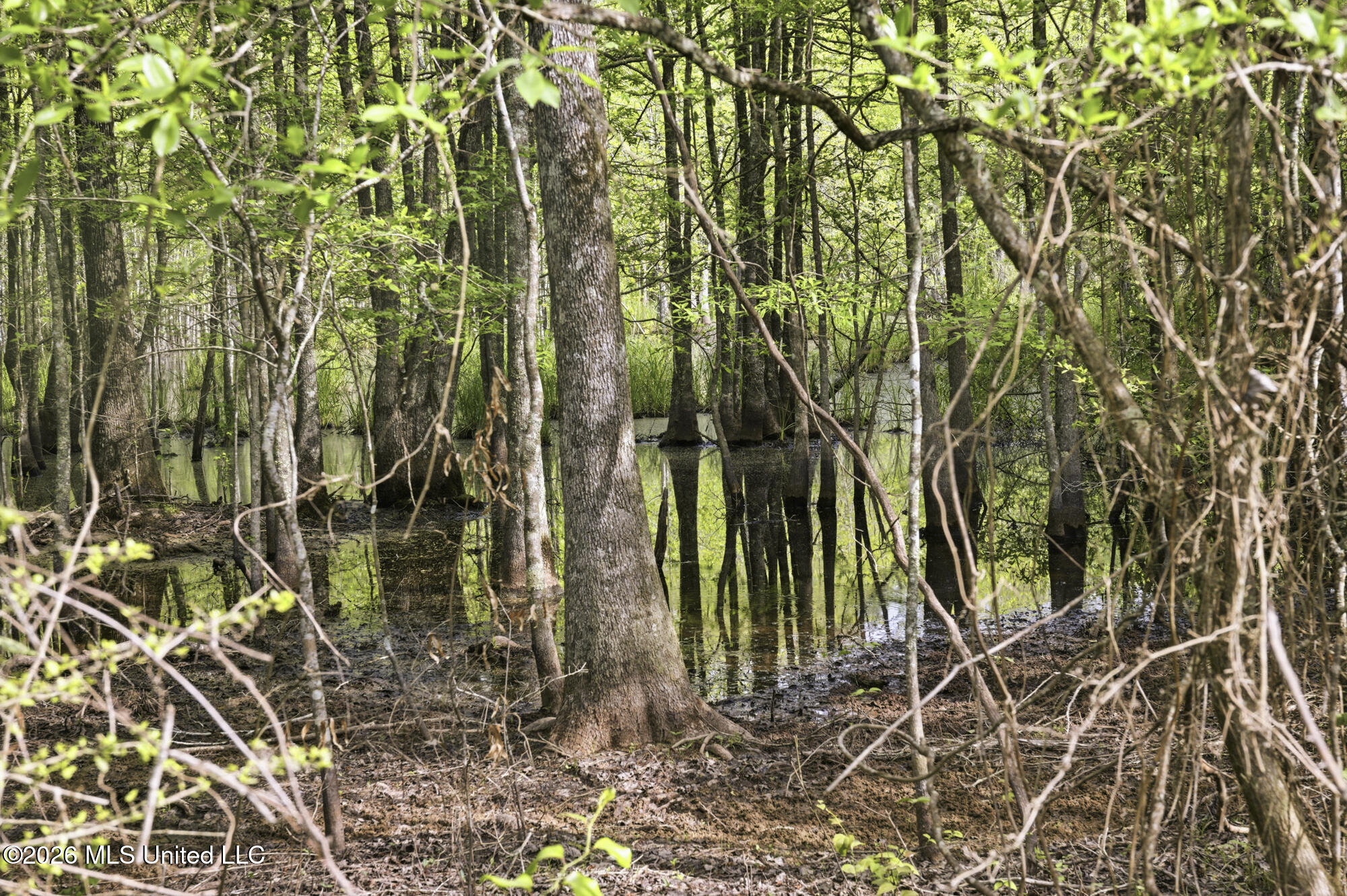 Chathaw Path Smithdale, MS 39664 - Photo 48 of 59 ghubphoto_007