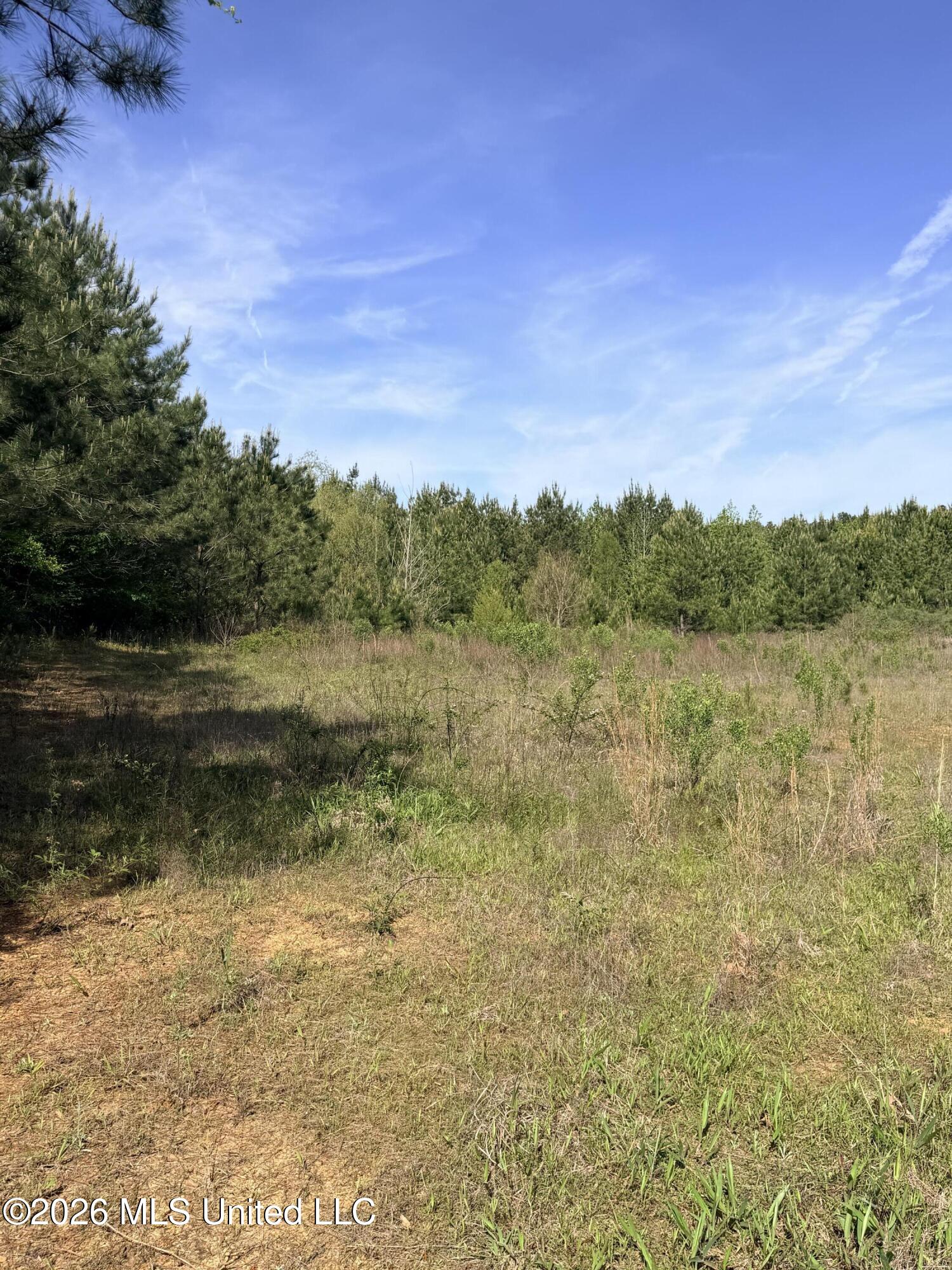 Chathaw Path Smithdale, MS 39664 - Photo 5 of 42 IMG_4986