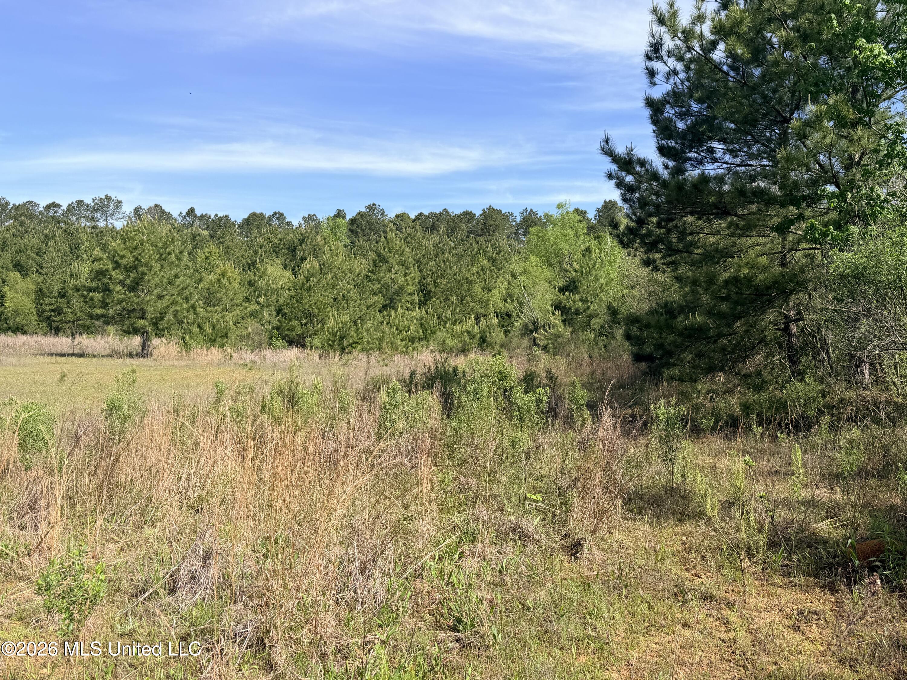 Chathaw Path Smithdale, MS 39664 - Photo 6 of 42 IMG_4989