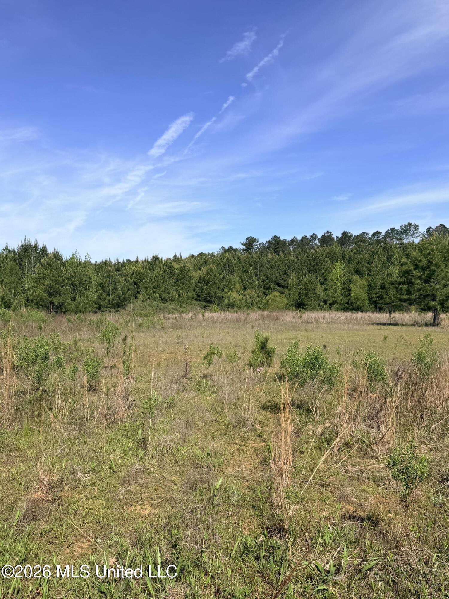 Chathaw Path Smithdale, MS 39664 - Photo 7 of 42 IMG_4991