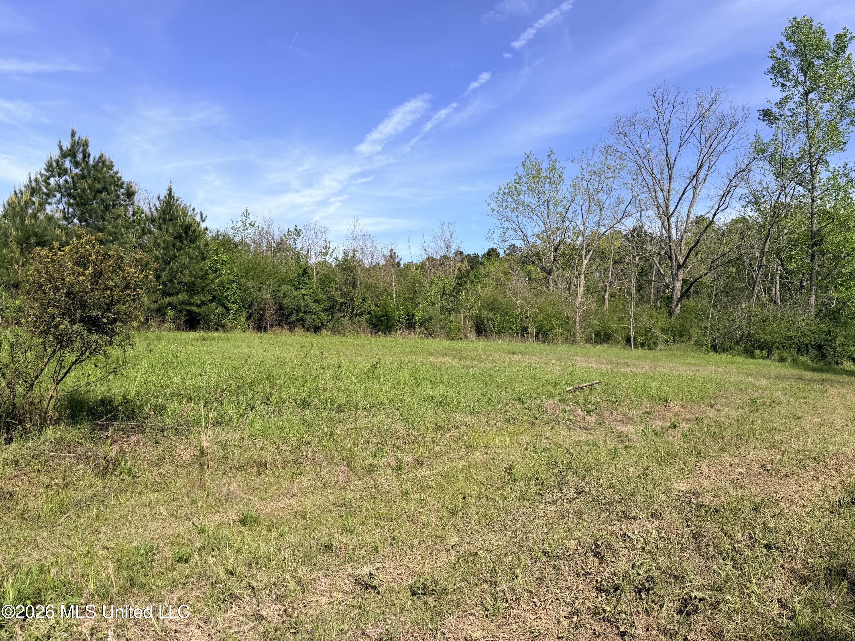 Chathaw Path Smithdale, MS 39664 - Photo 8 of 42 IMG_5003