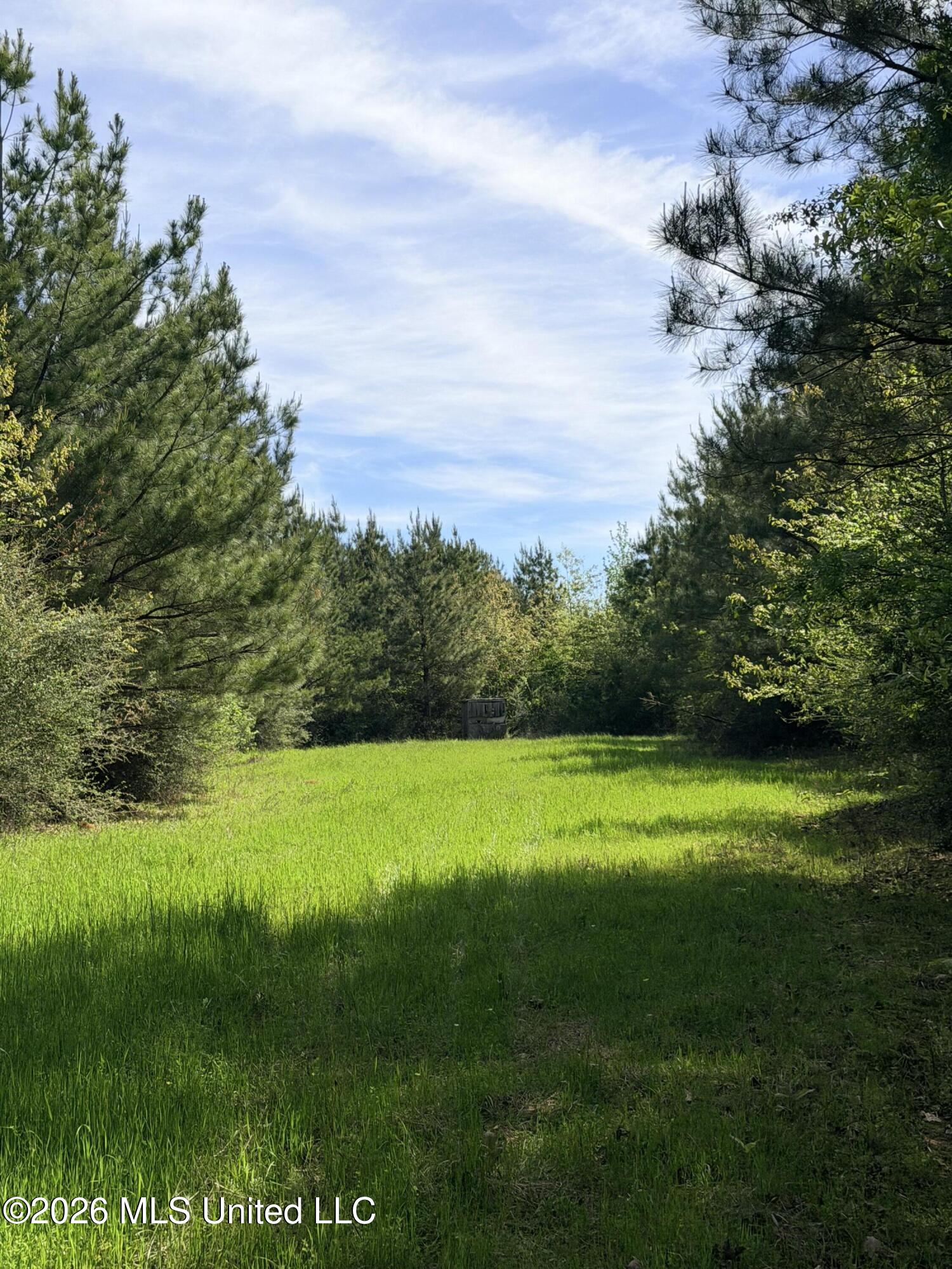 Chathaw Path Smithdale, MS 39664 - Photo 9 of 42 IMG_5008
